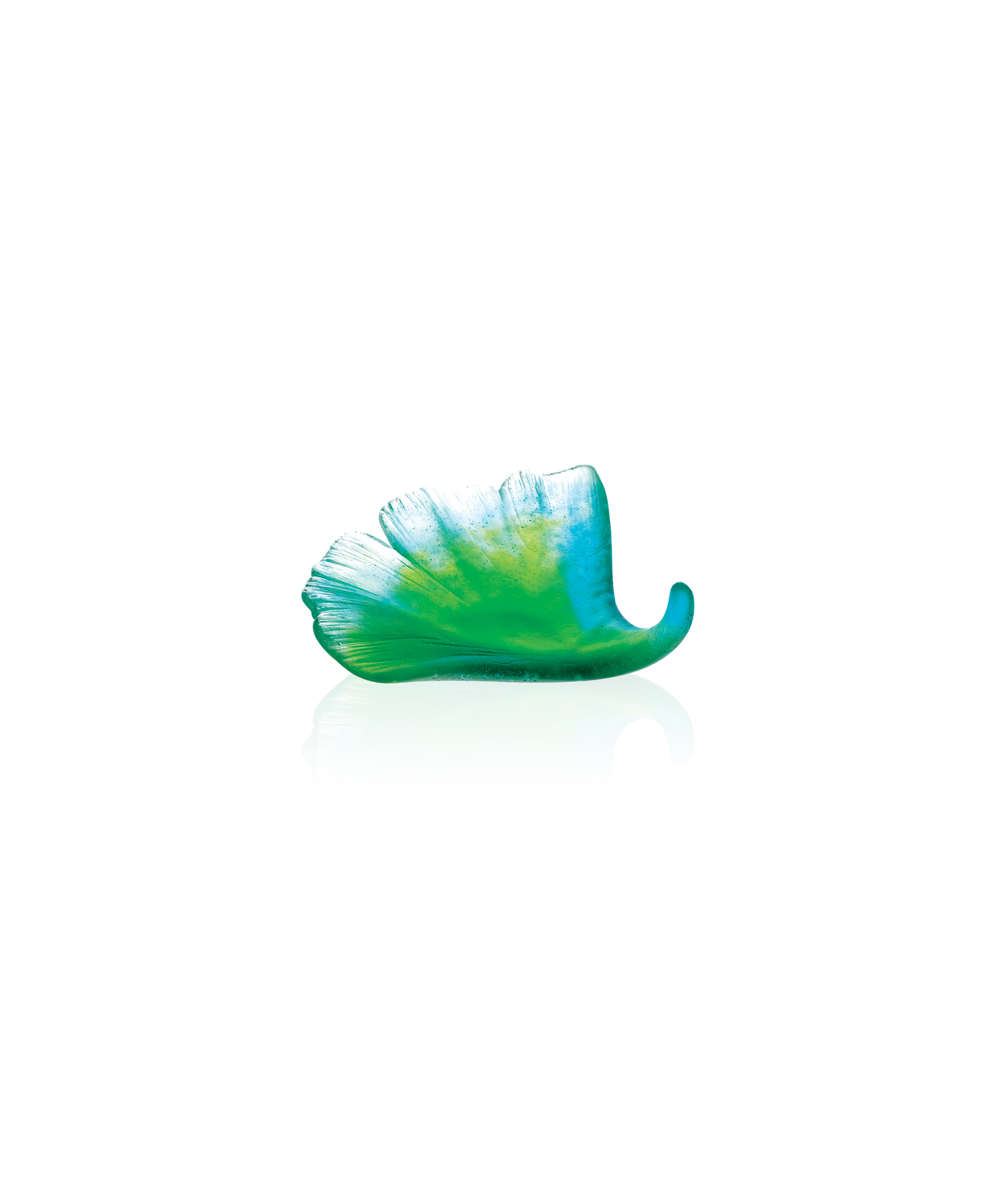 Ginkgo Feuille Verte