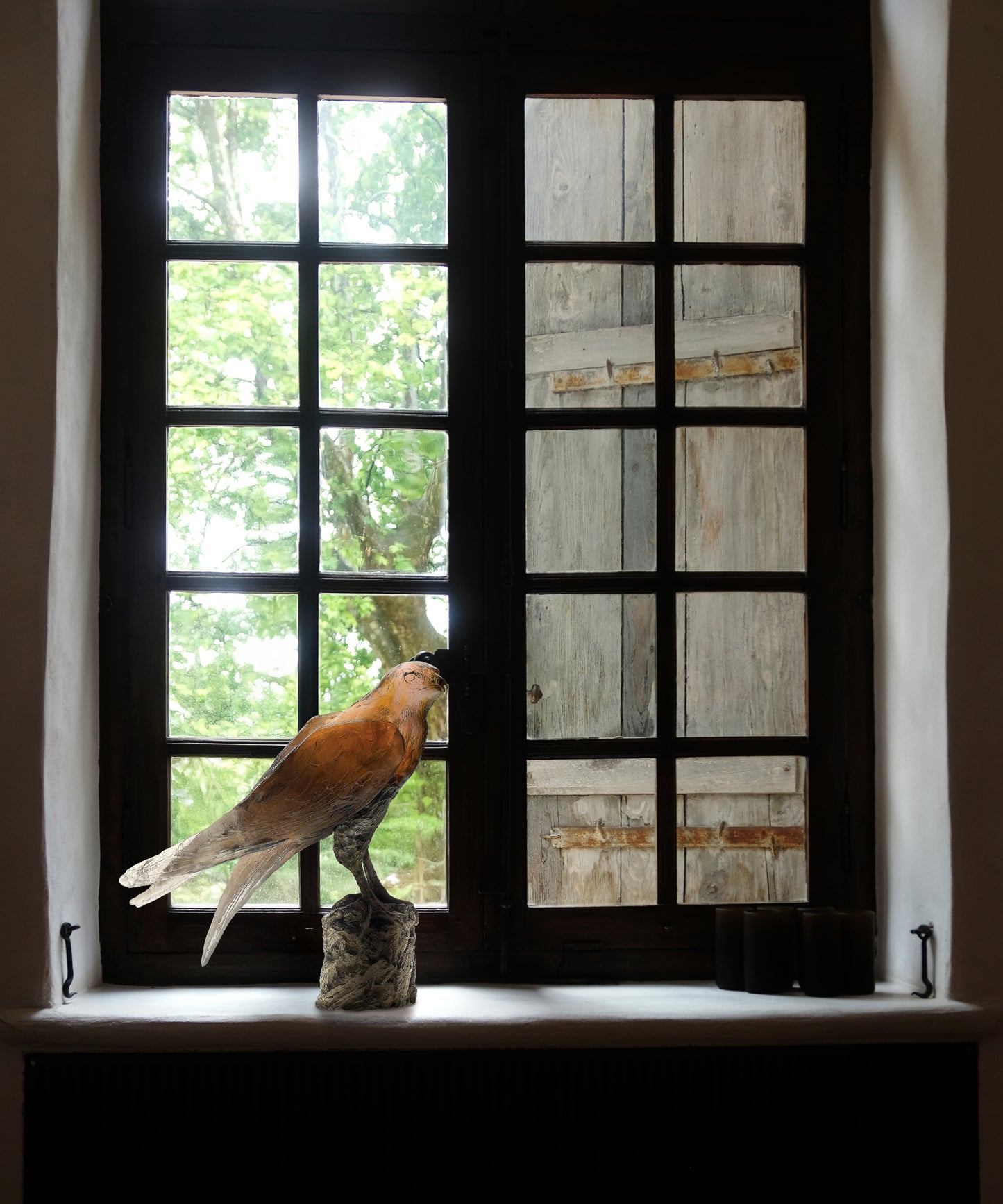 Faucon Saker de Madeleine Van der Knoop 375ex