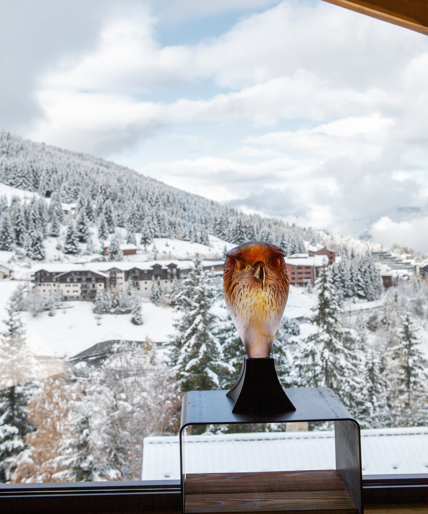 Tête de Faucon by Madeleine Van der Knoop 375ex