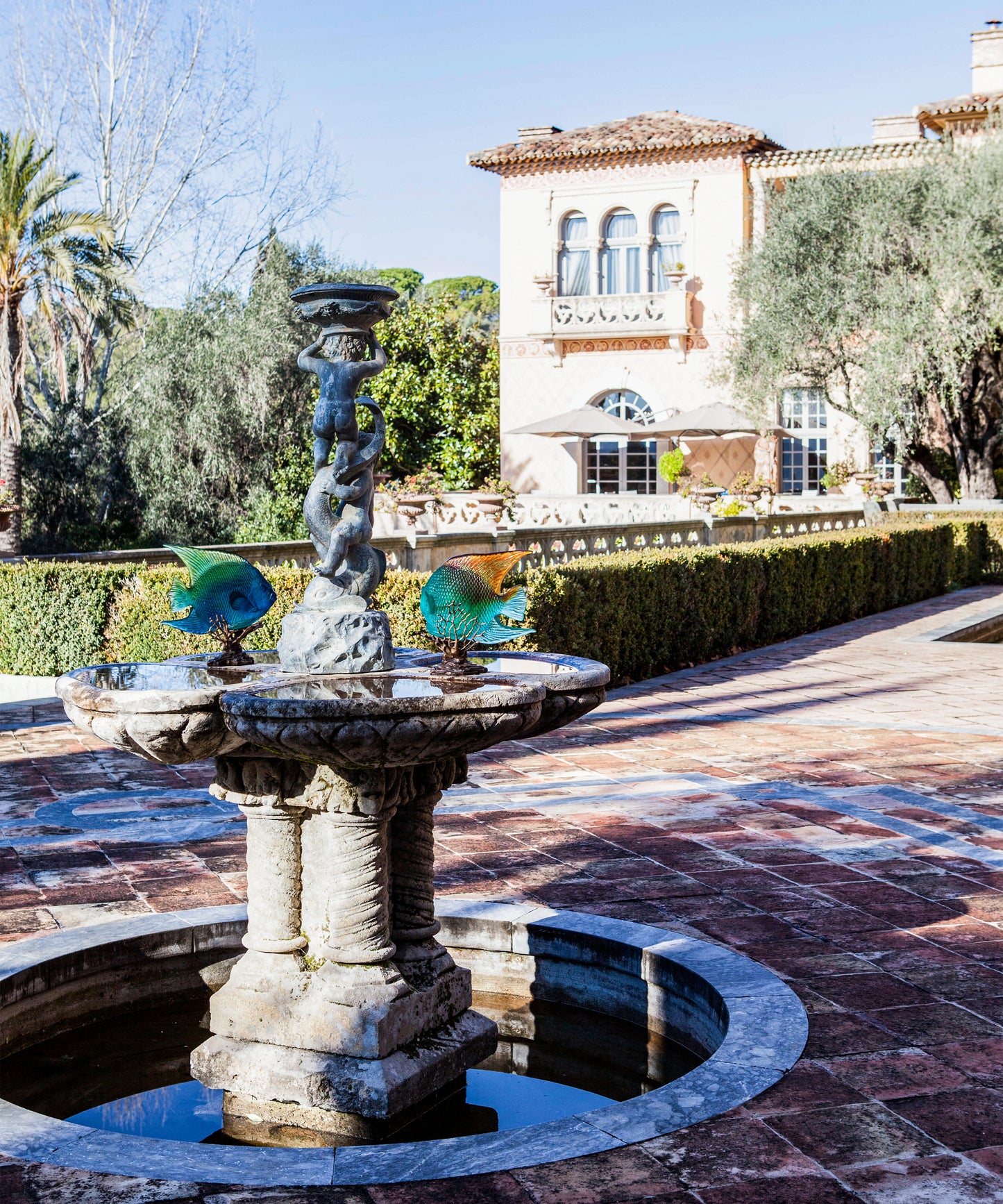 Mer de Corail Ange royal Ambre et vert 125ex - Daum