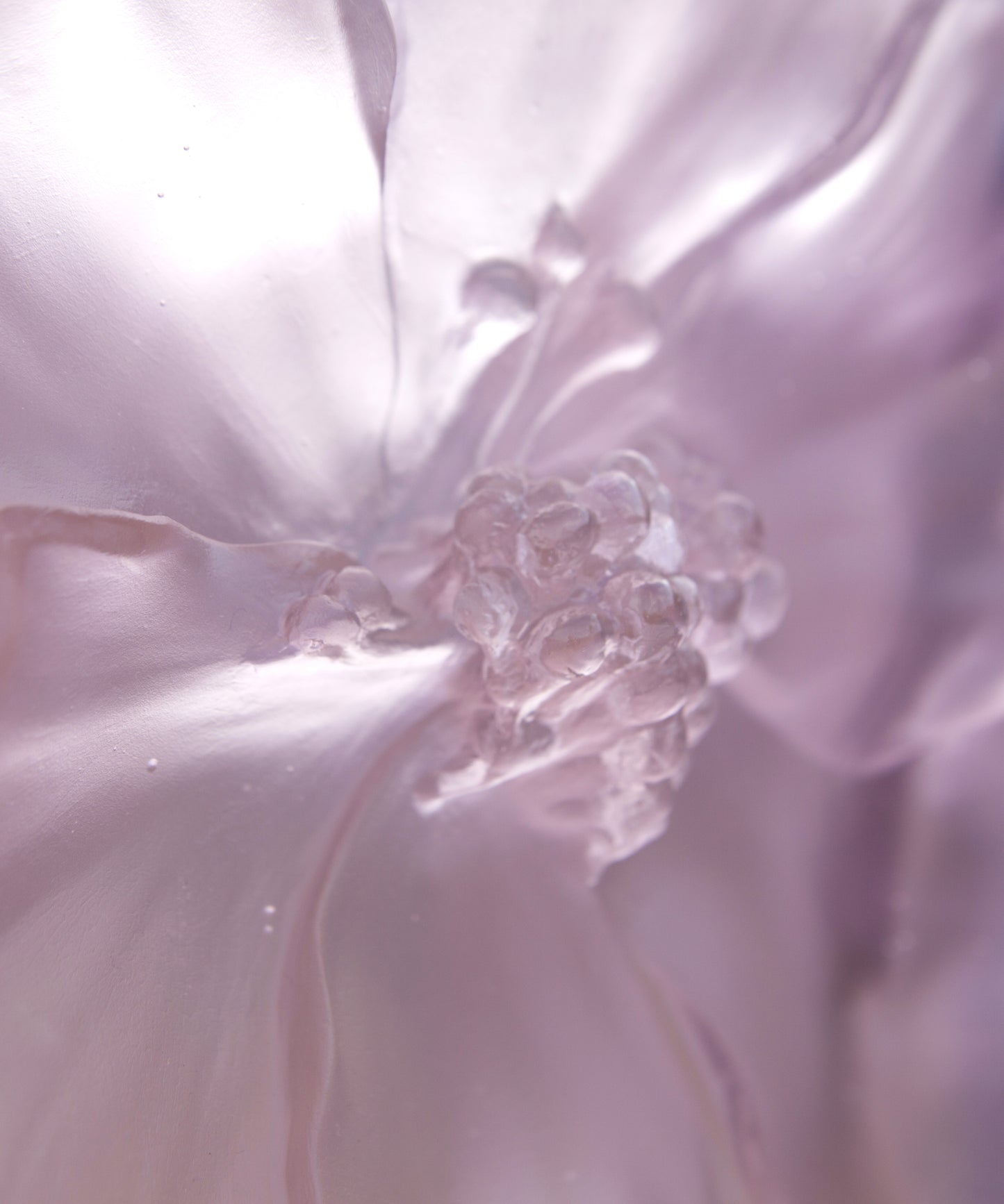 Camelia Vase grand modèle Rose