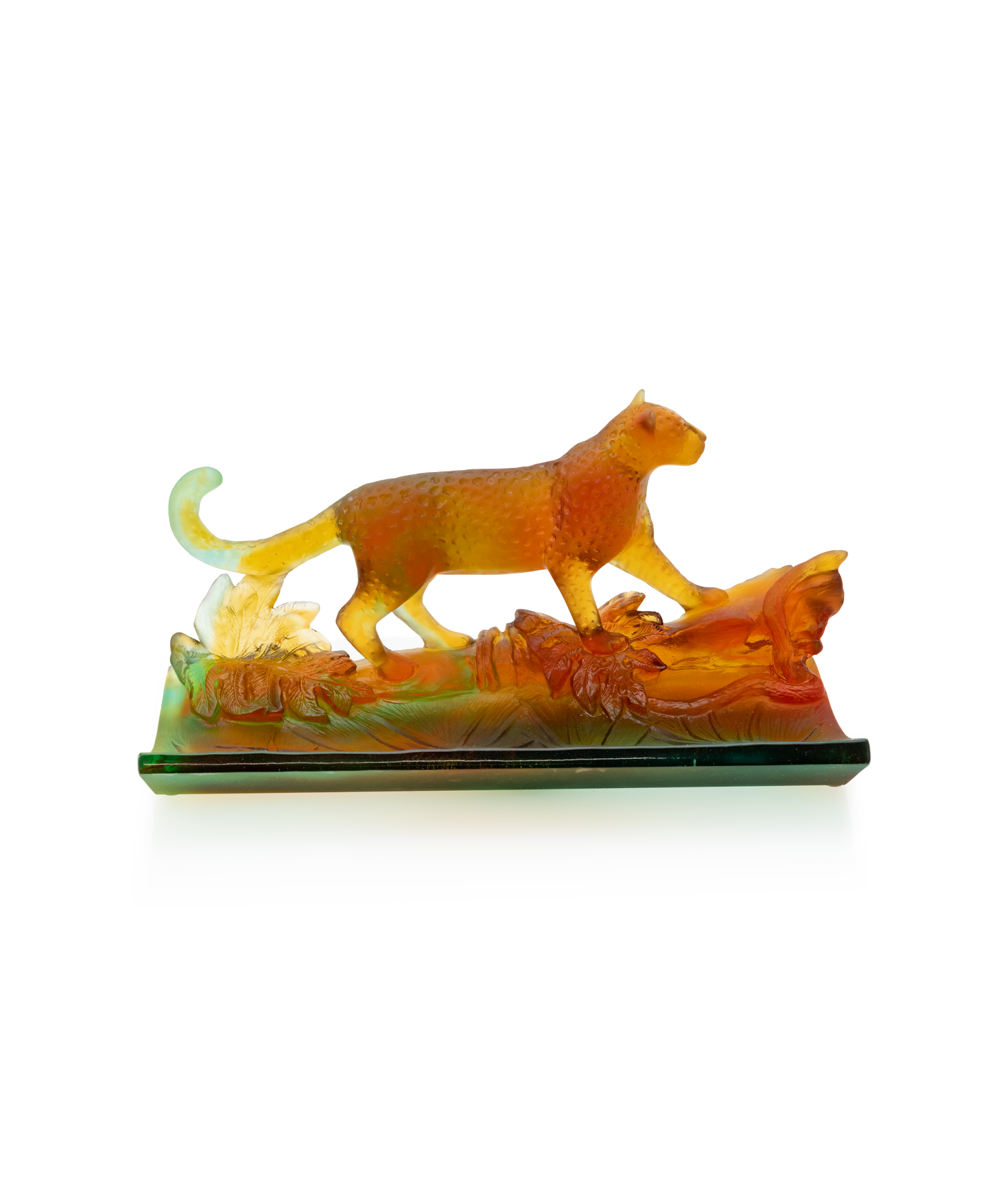 Léopard Tropical Plumier