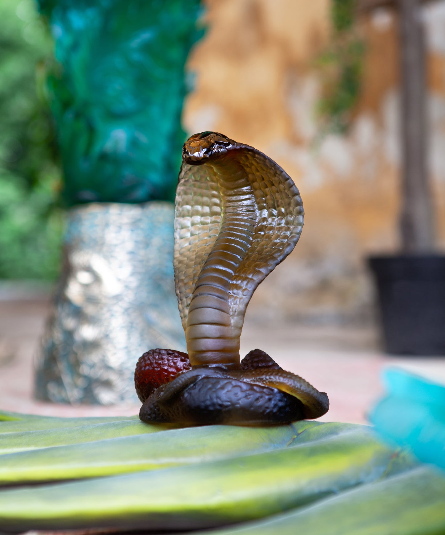 Naja Ambre et gris 500ex