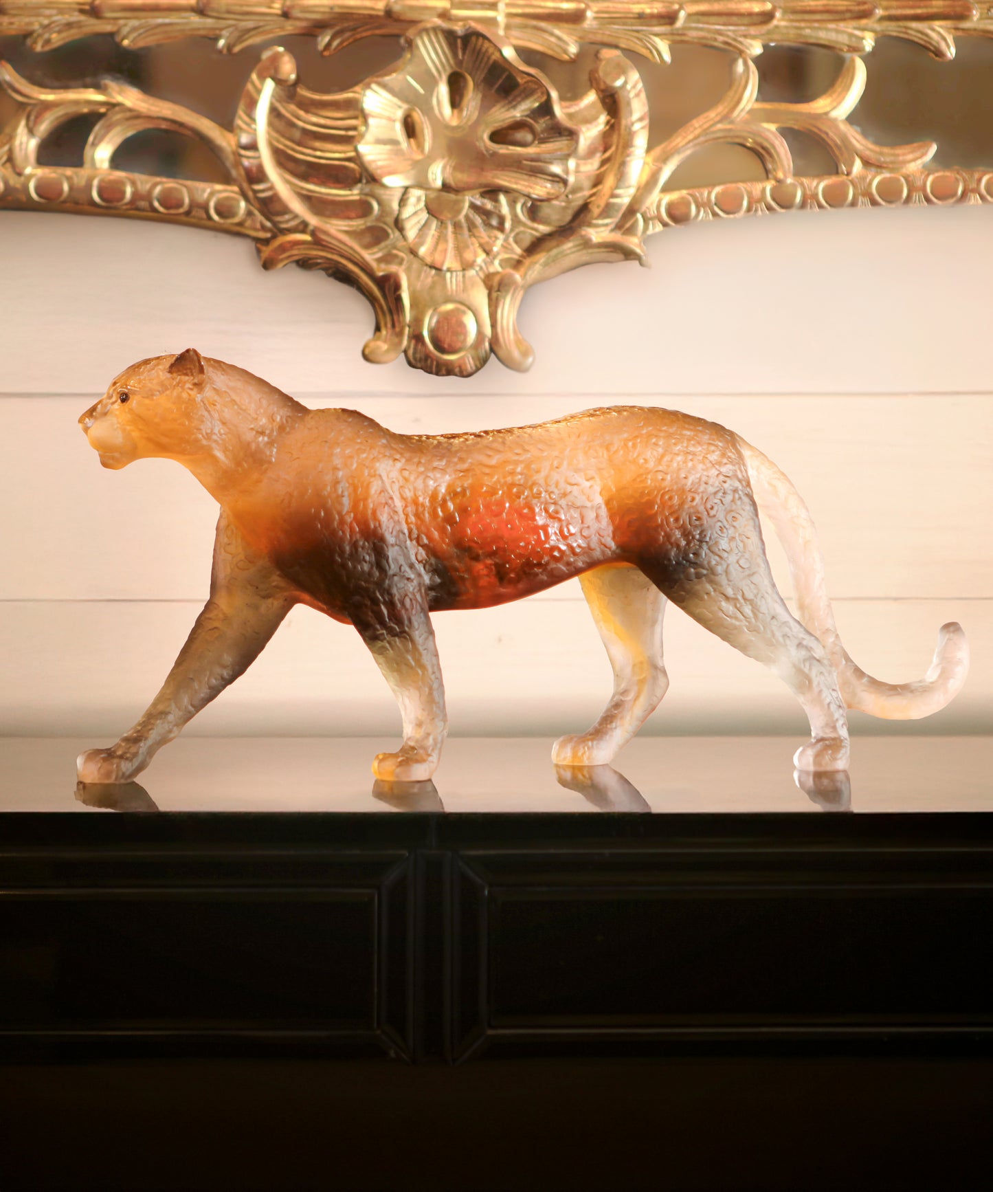 Panthère Jaipur 50ex