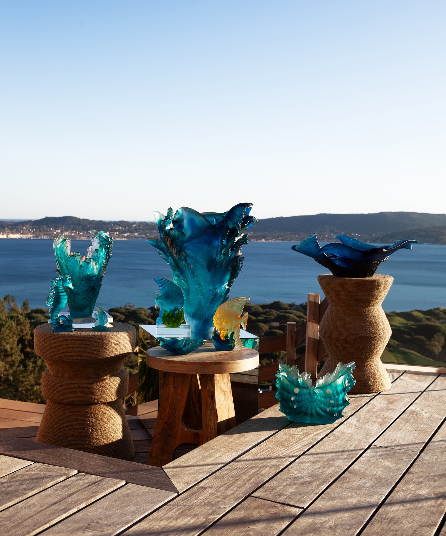 Maya Platax moyen modèle Jaune et bleu - Daum