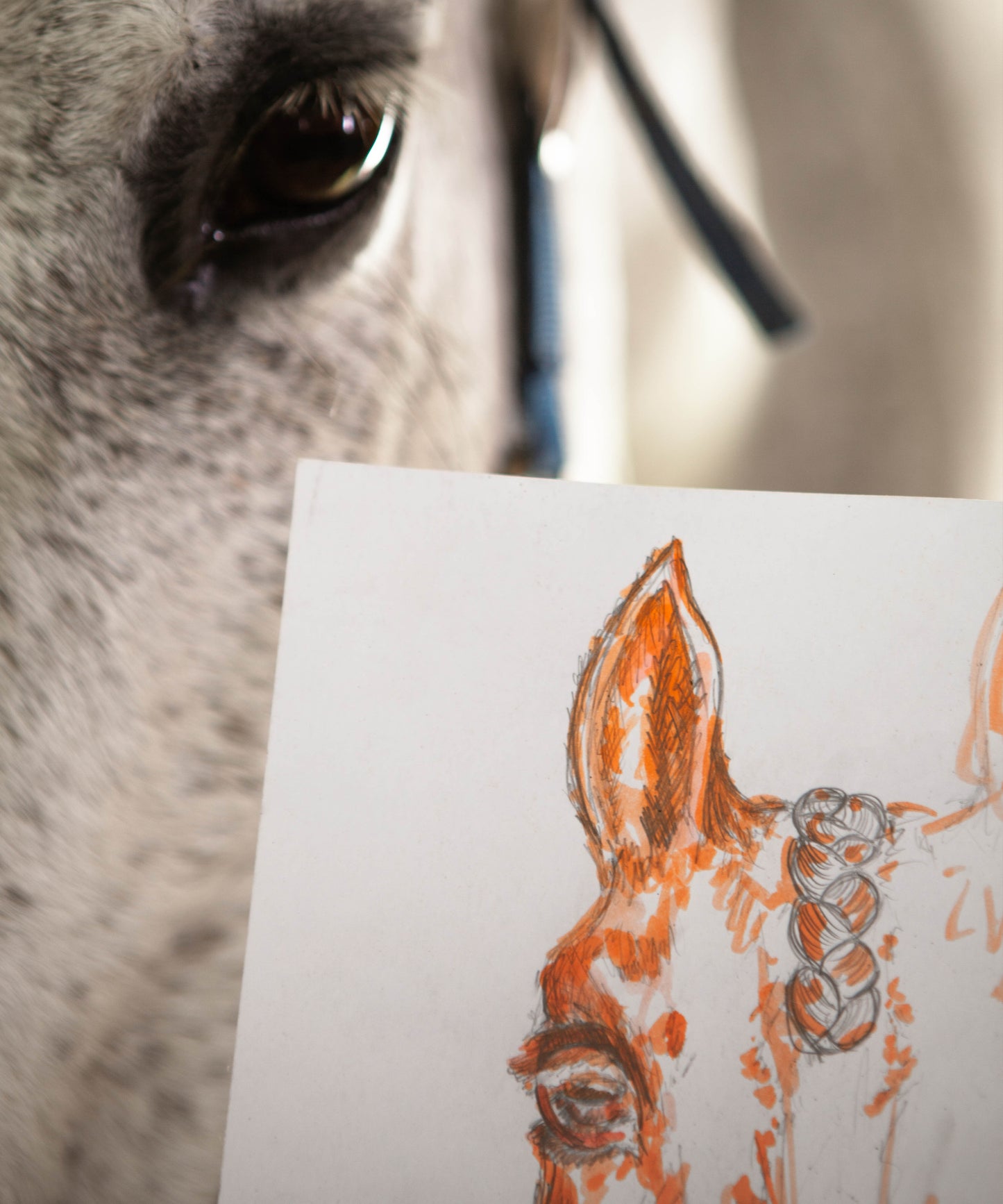 Rêve Equestre Vase petit modèle 225ex