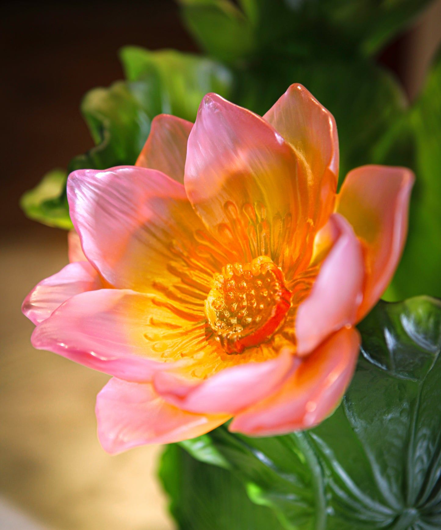 Jardin de Lotus Magnum vase 99ex