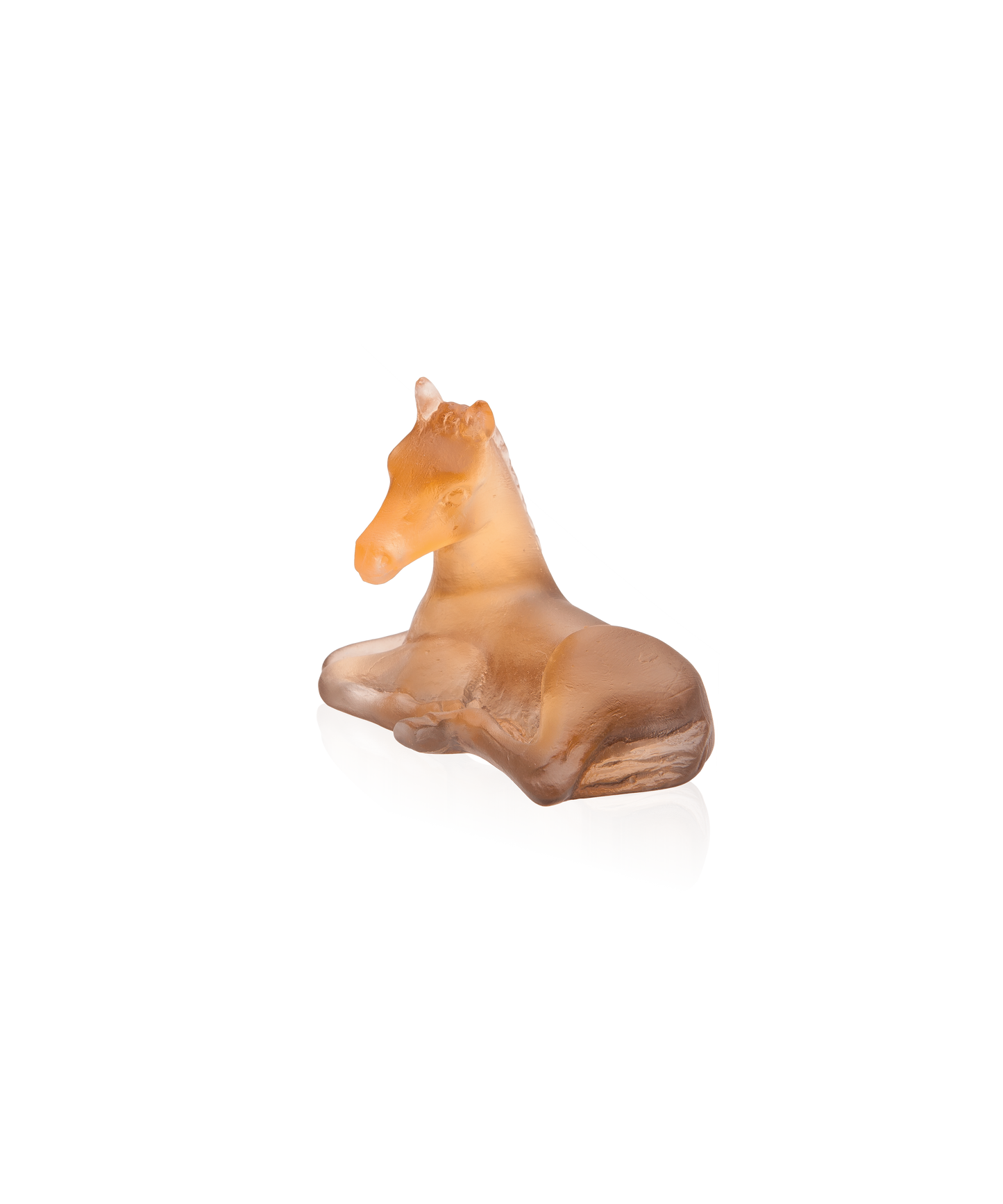 Mini poulain Ambre gris