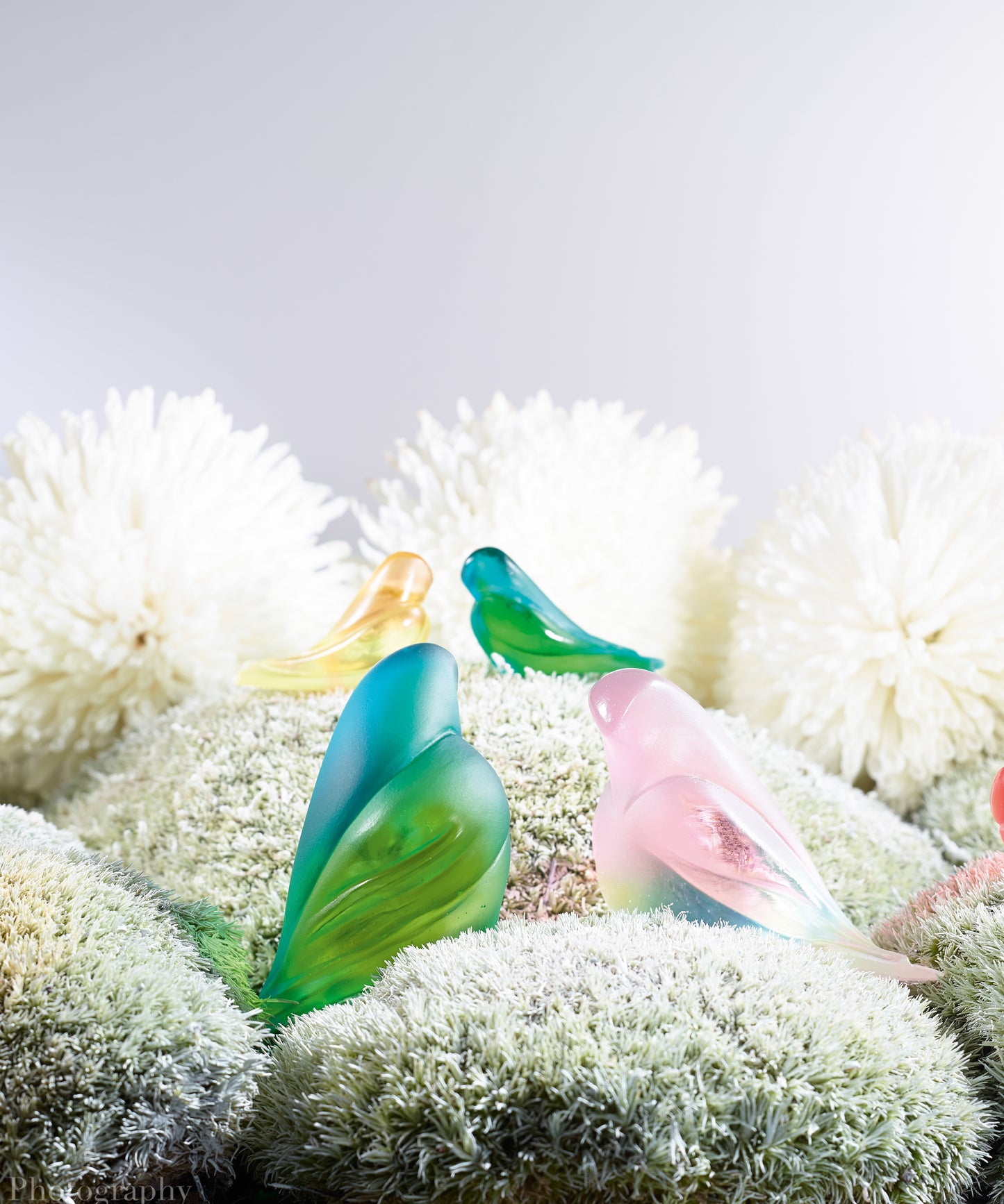 Les Fiancés Rose et bleu de Pierre-Yves Rochon - Daum