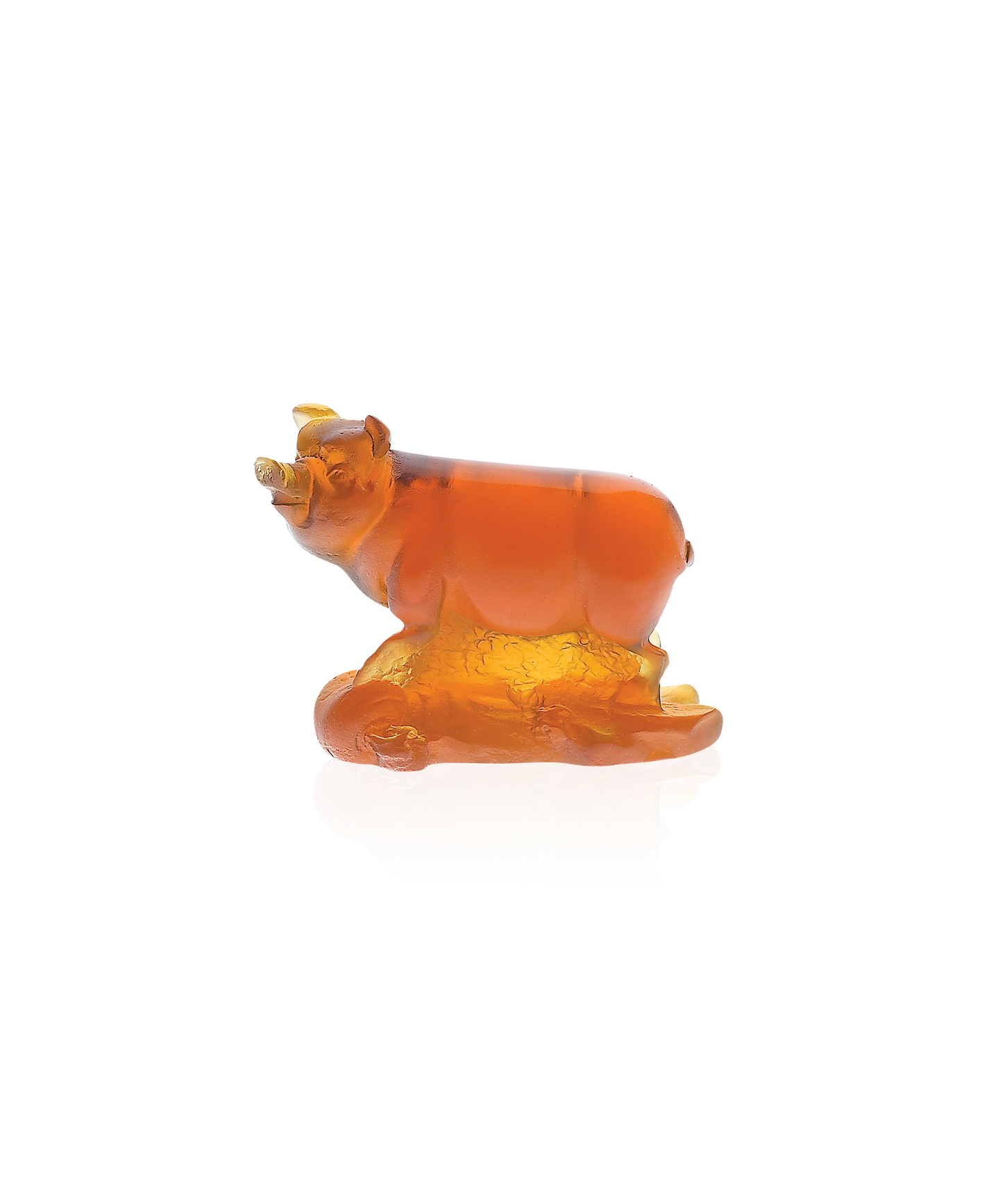 Cochon horoscope - Daum