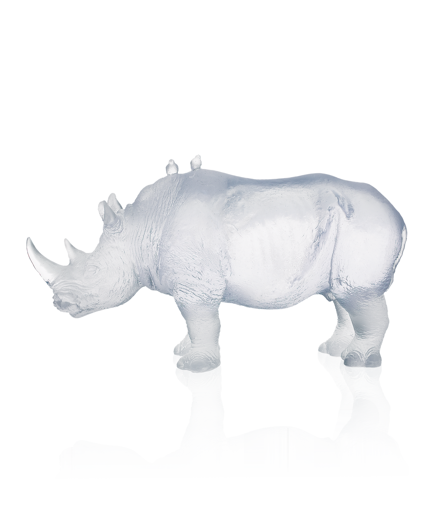 Rhinocéros blanc en verre de Jean-François Leroy, pièce de collection Daum, sculpté à la main, illustration de l'artiste français.