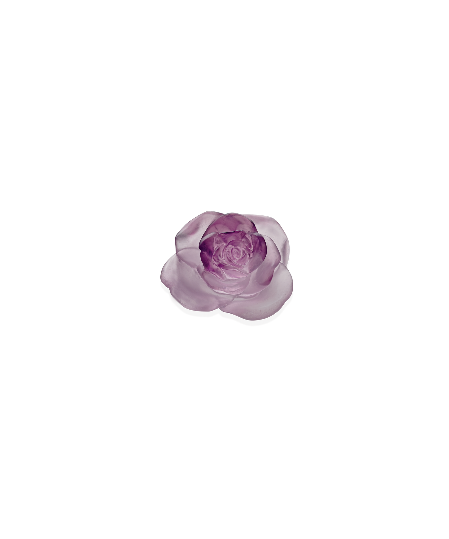 Rose Passion Fleur décorative Rose - Daum