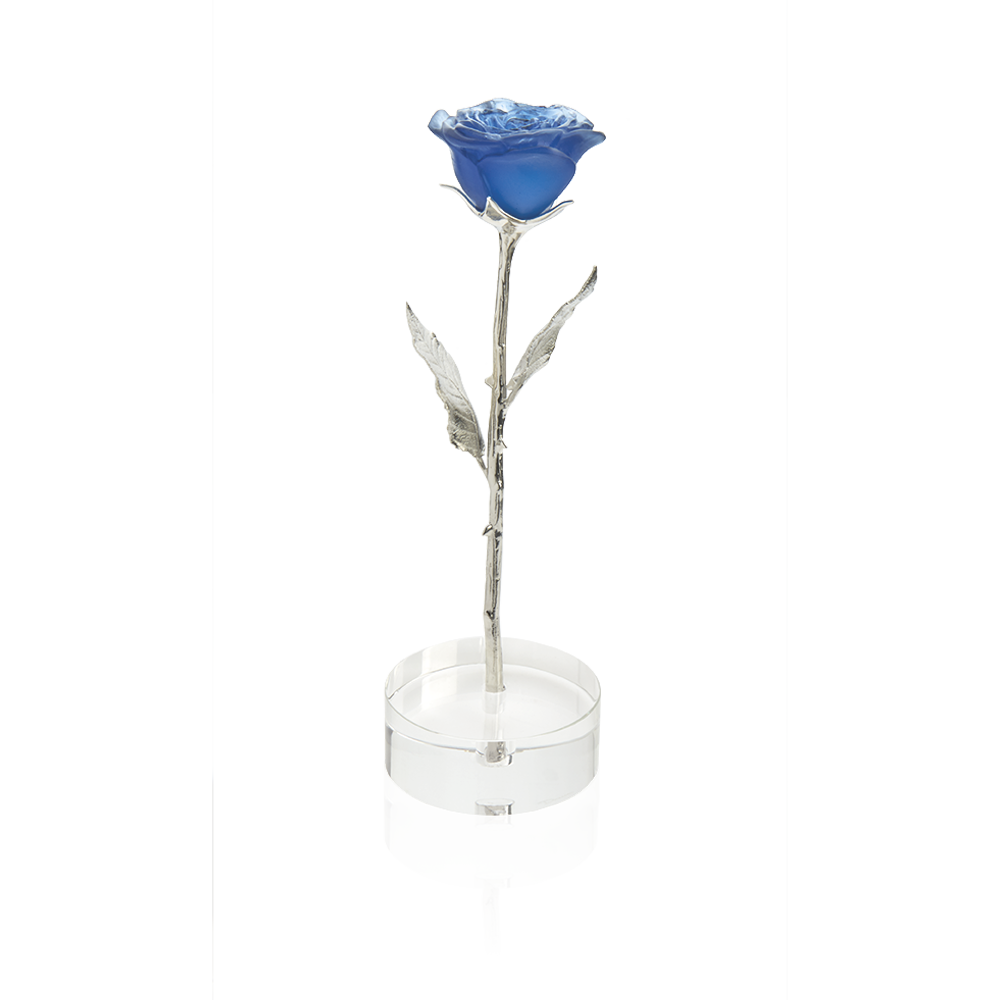 Blue Eternal Rose – Daum Site Officiel