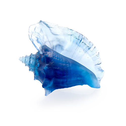 Coquillage conque Mer de Corail en cristal