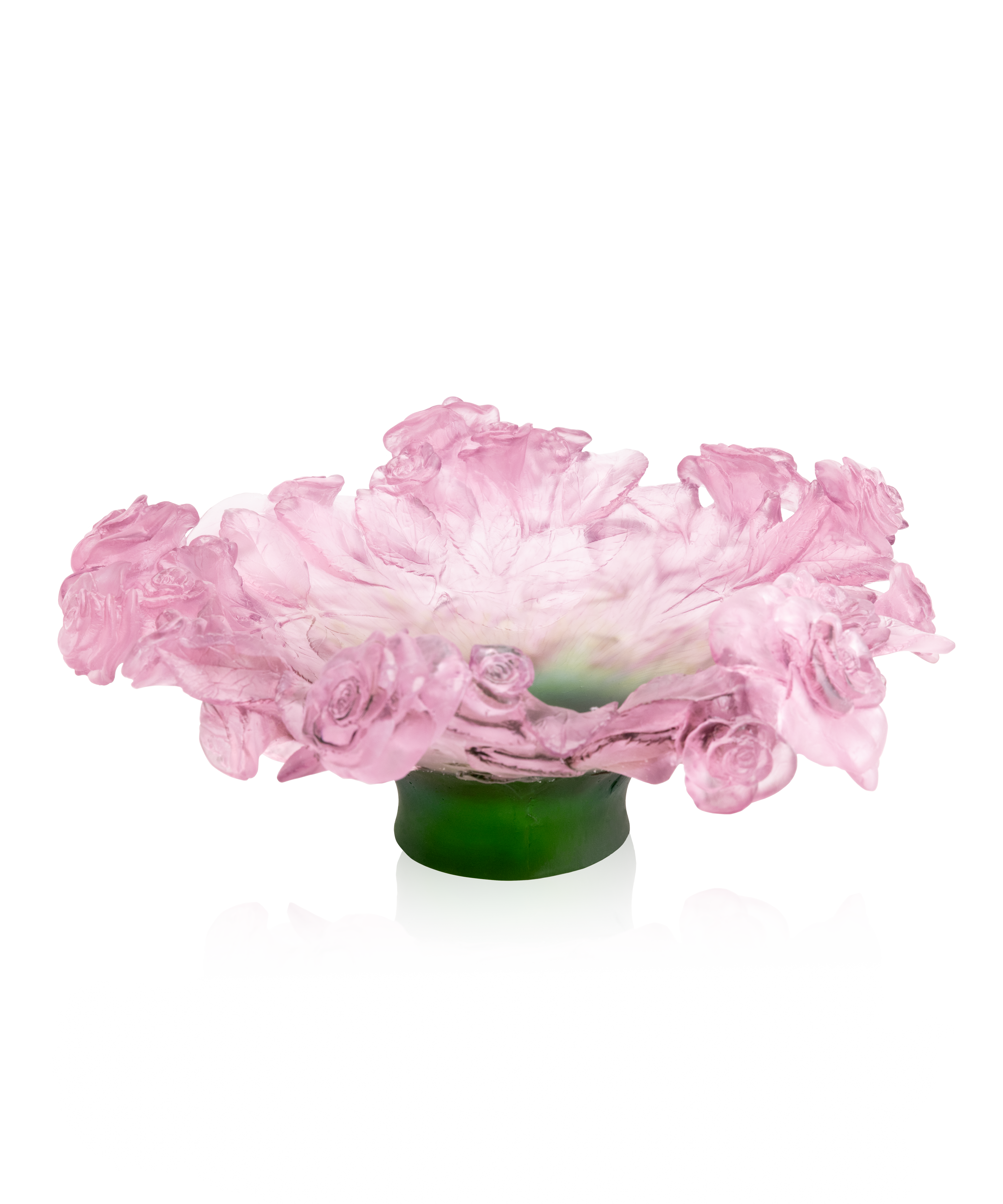 Roses Coupe sur pied rose