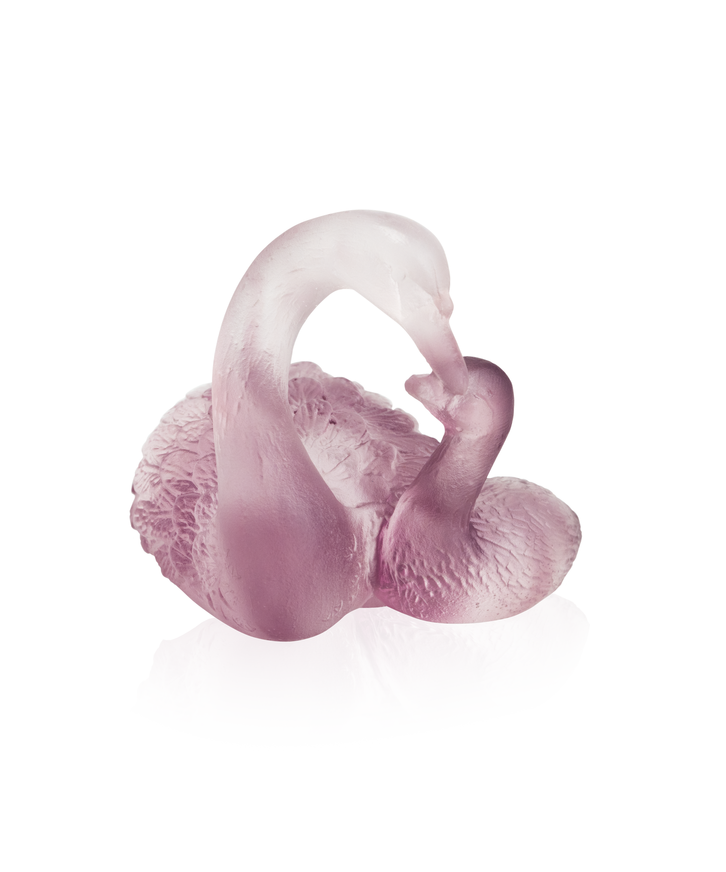 Couple de cygnes Rose