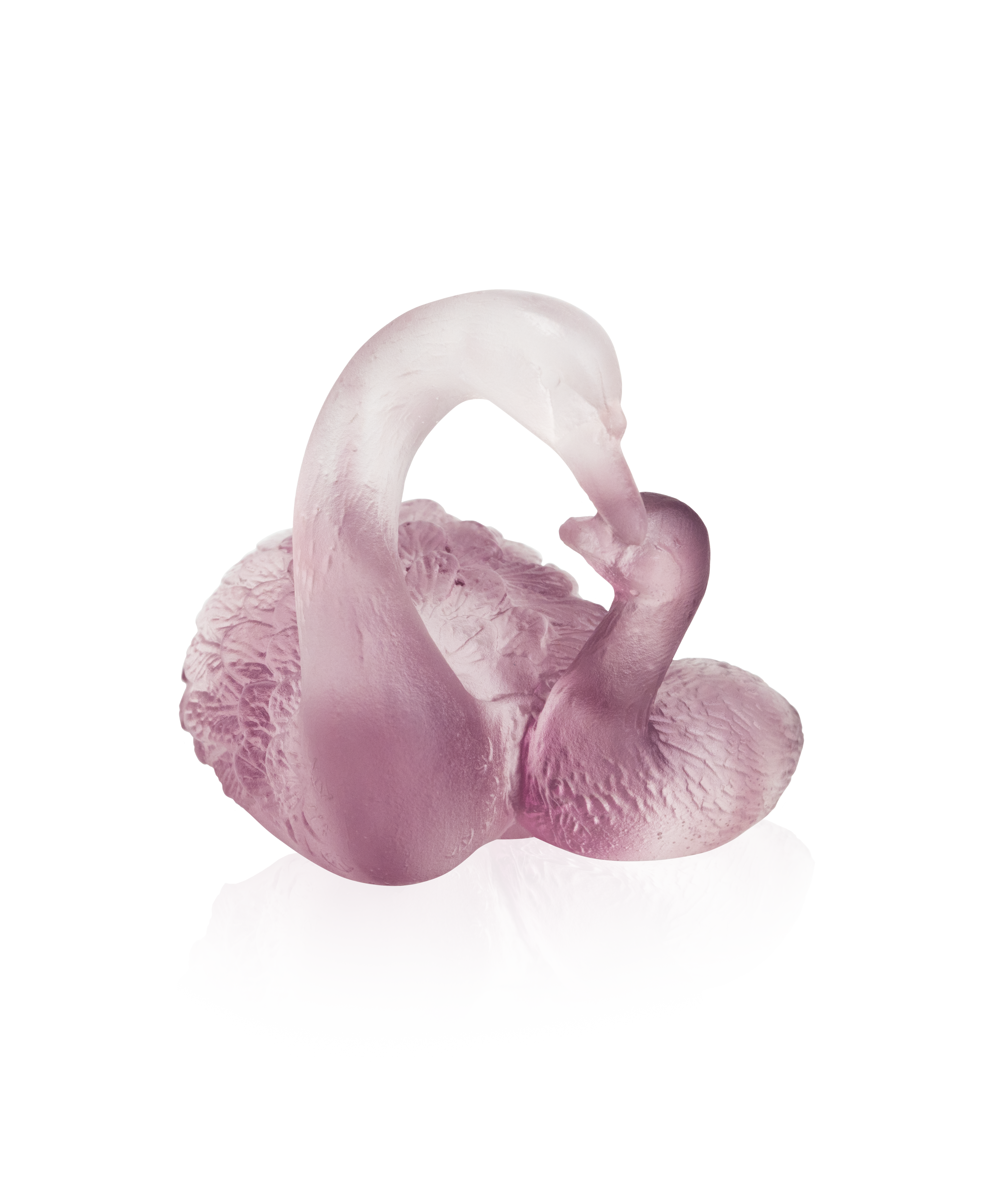 Couple de cygnes Rose