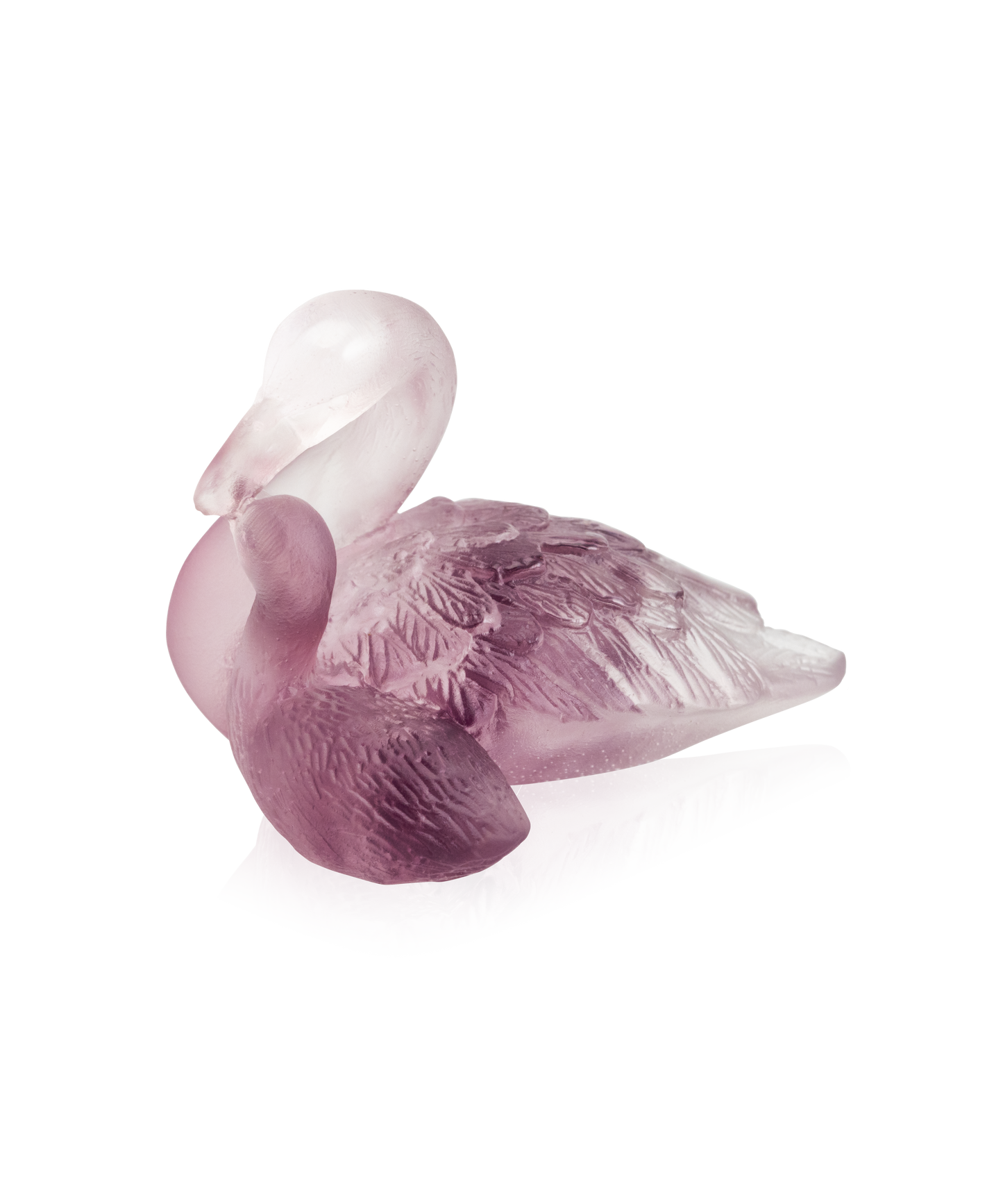 Couple de cygnes Rose