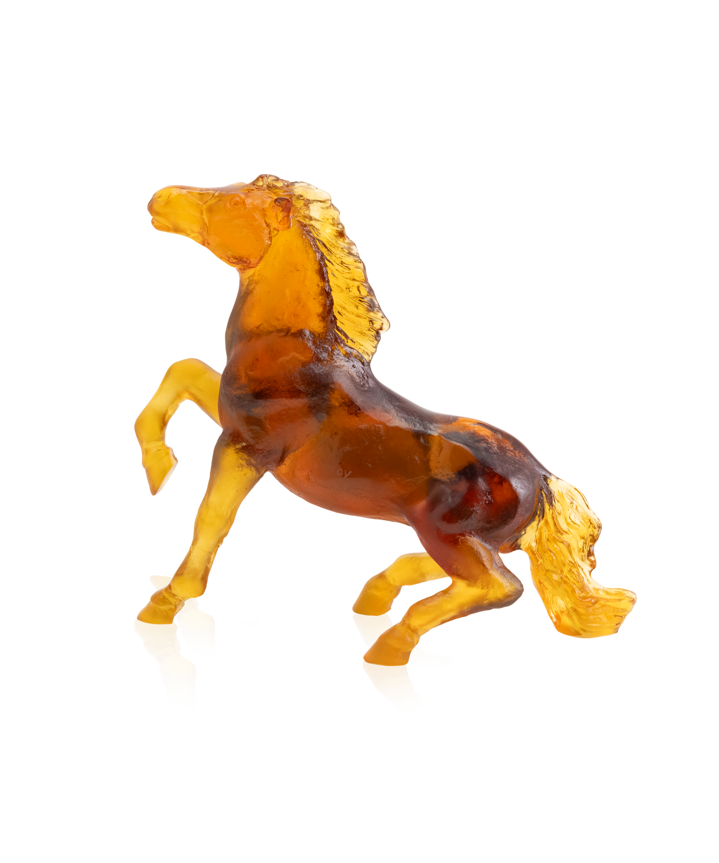 Cheval sauvage de Jean-François Leroy