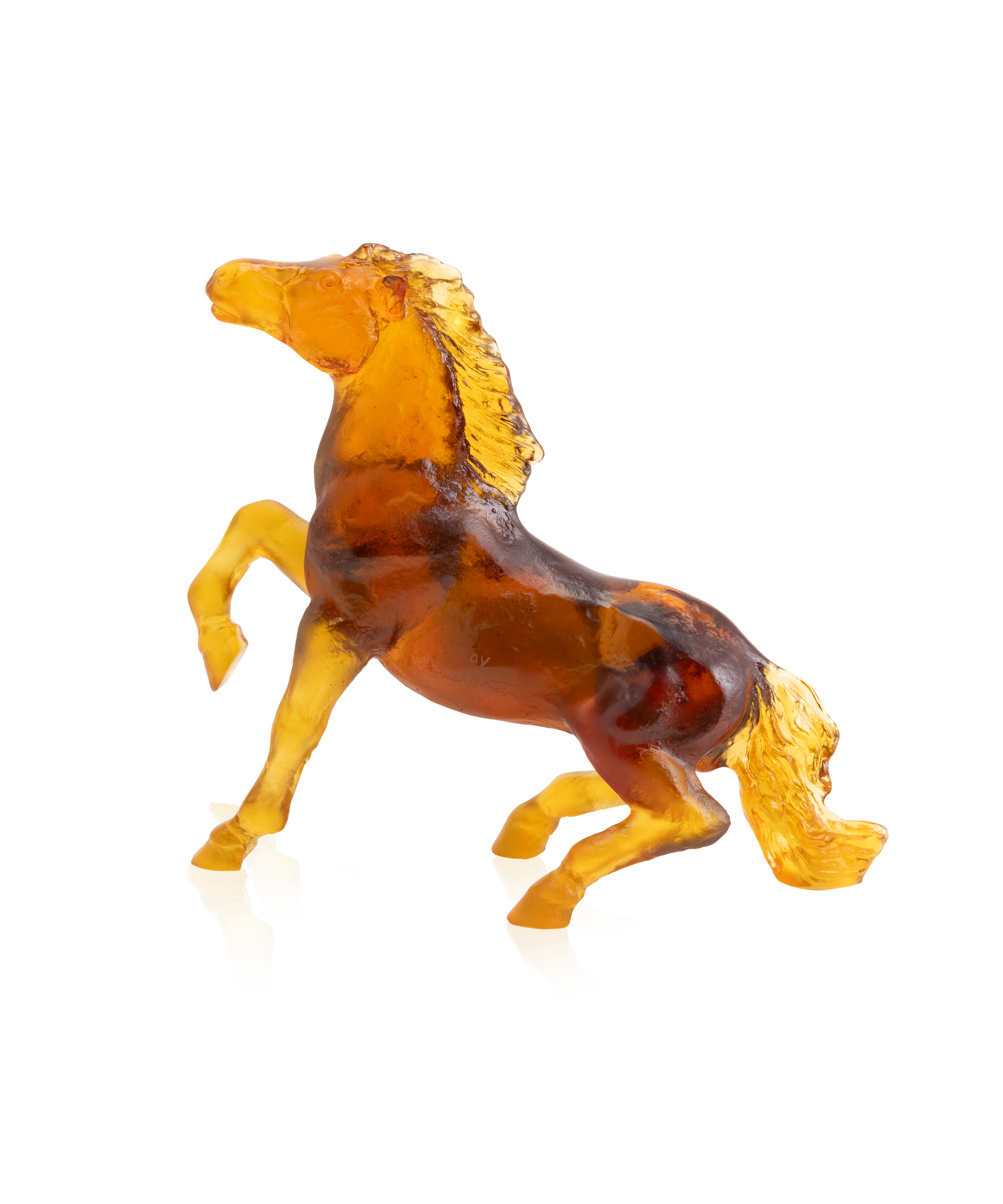 Cheval sauvage de Jean-François Leroy