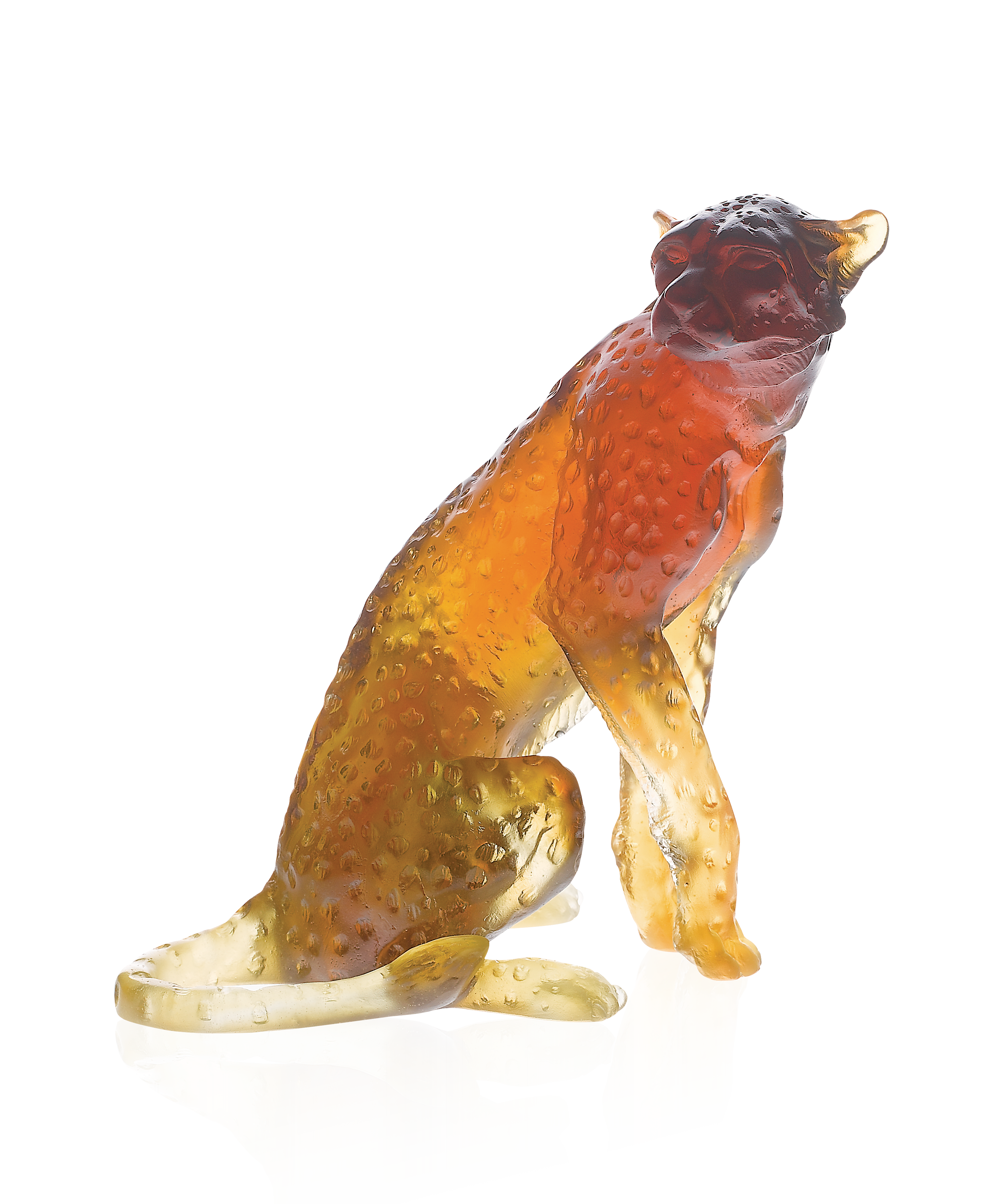 Guépard assis Ambre de Jean-François Leroy 1000ex