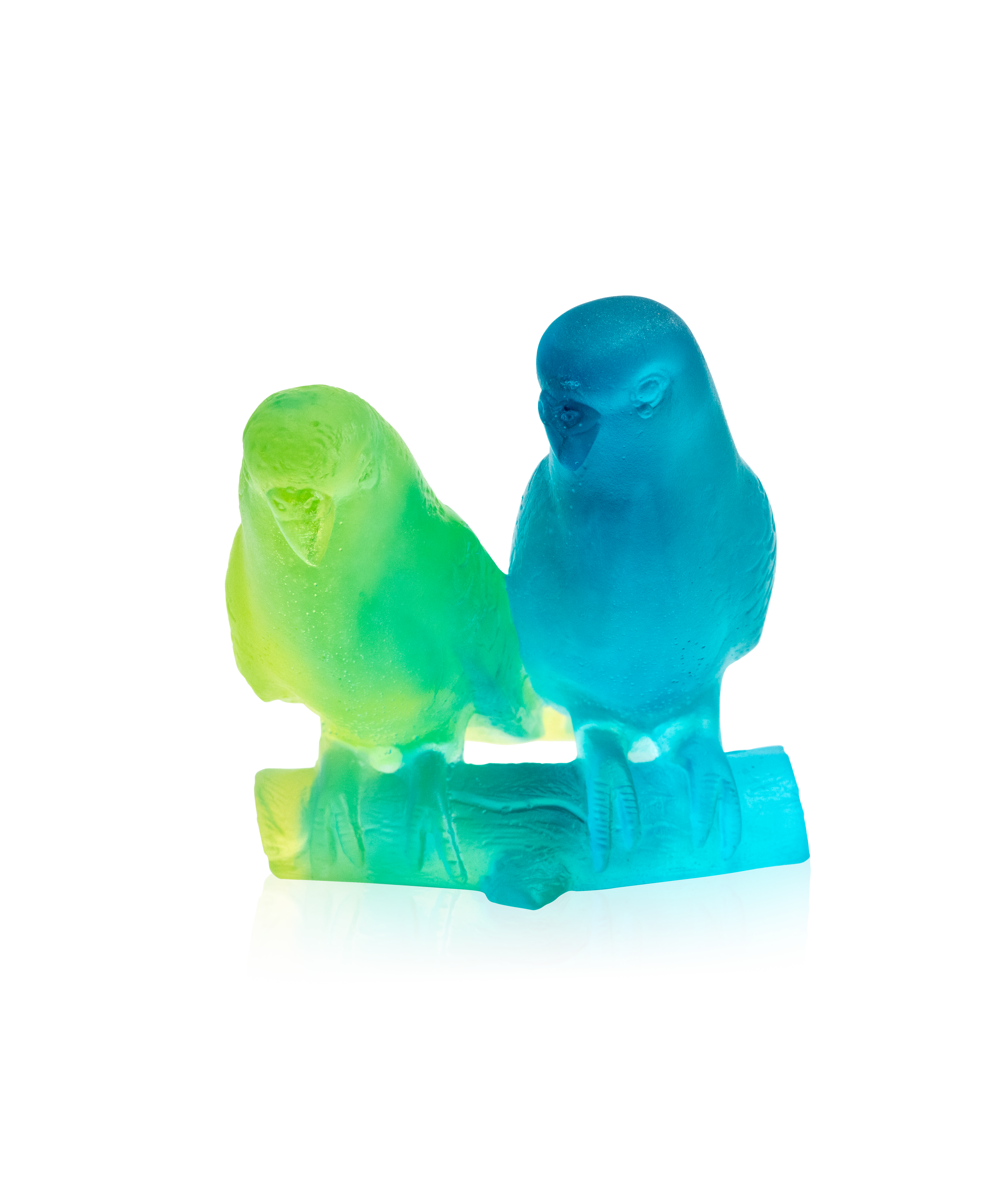 Couple de perruches Bleu