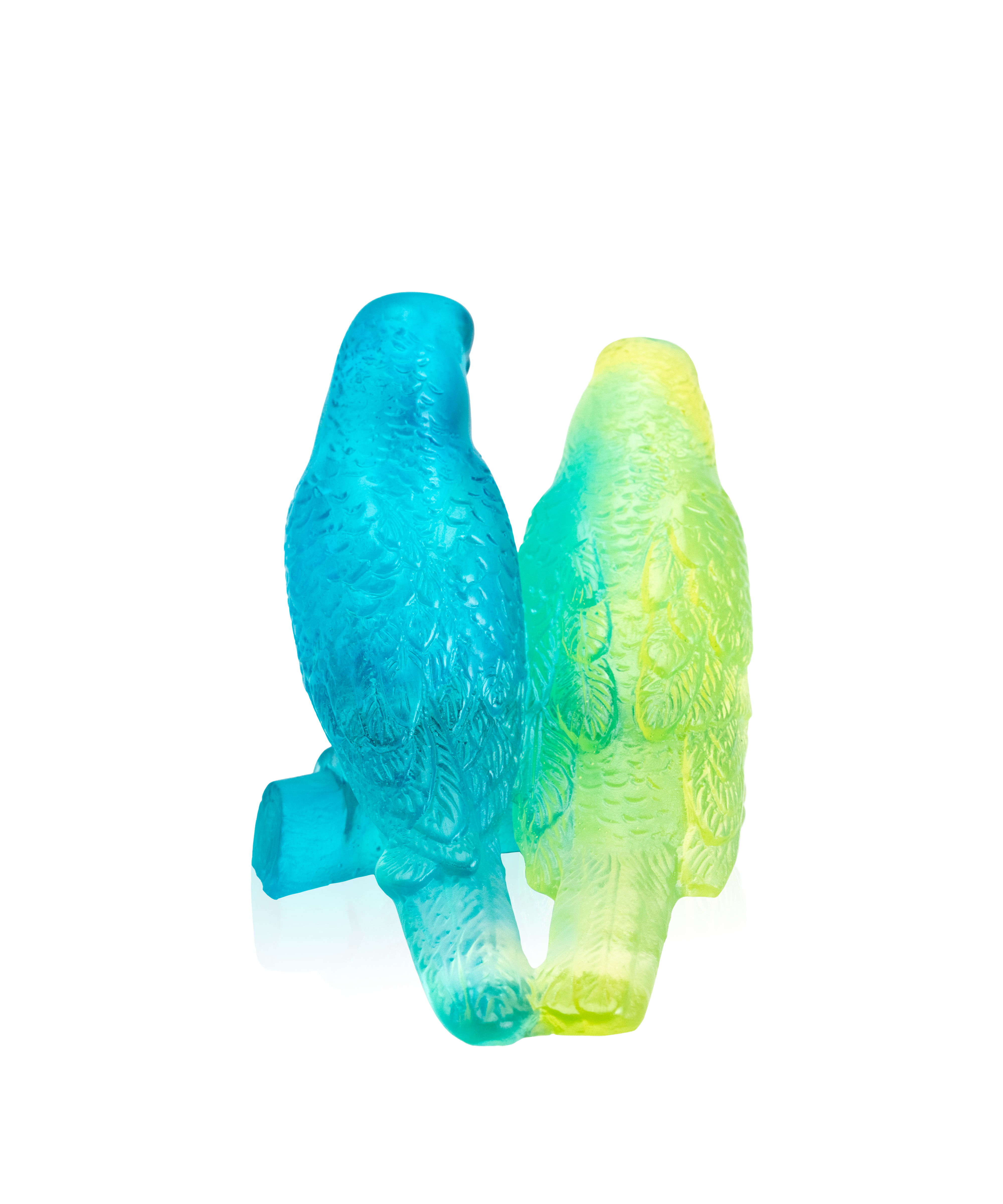 Couple de perruches Bleu