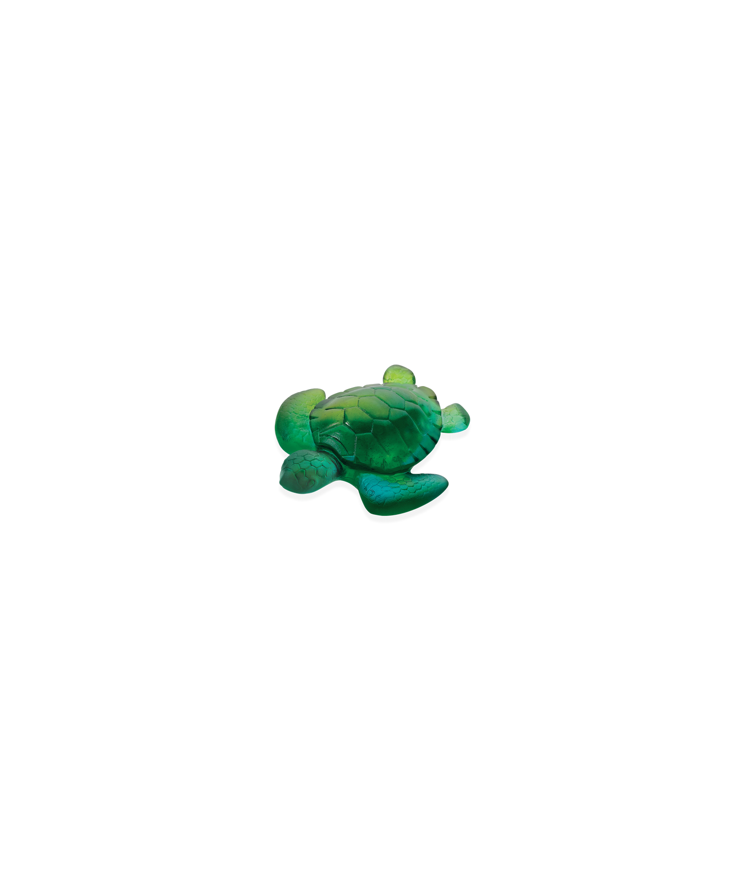 Petite tortue en turquoise de la marque Daum, sculpture en verre avec détails artistiques, vue de face.