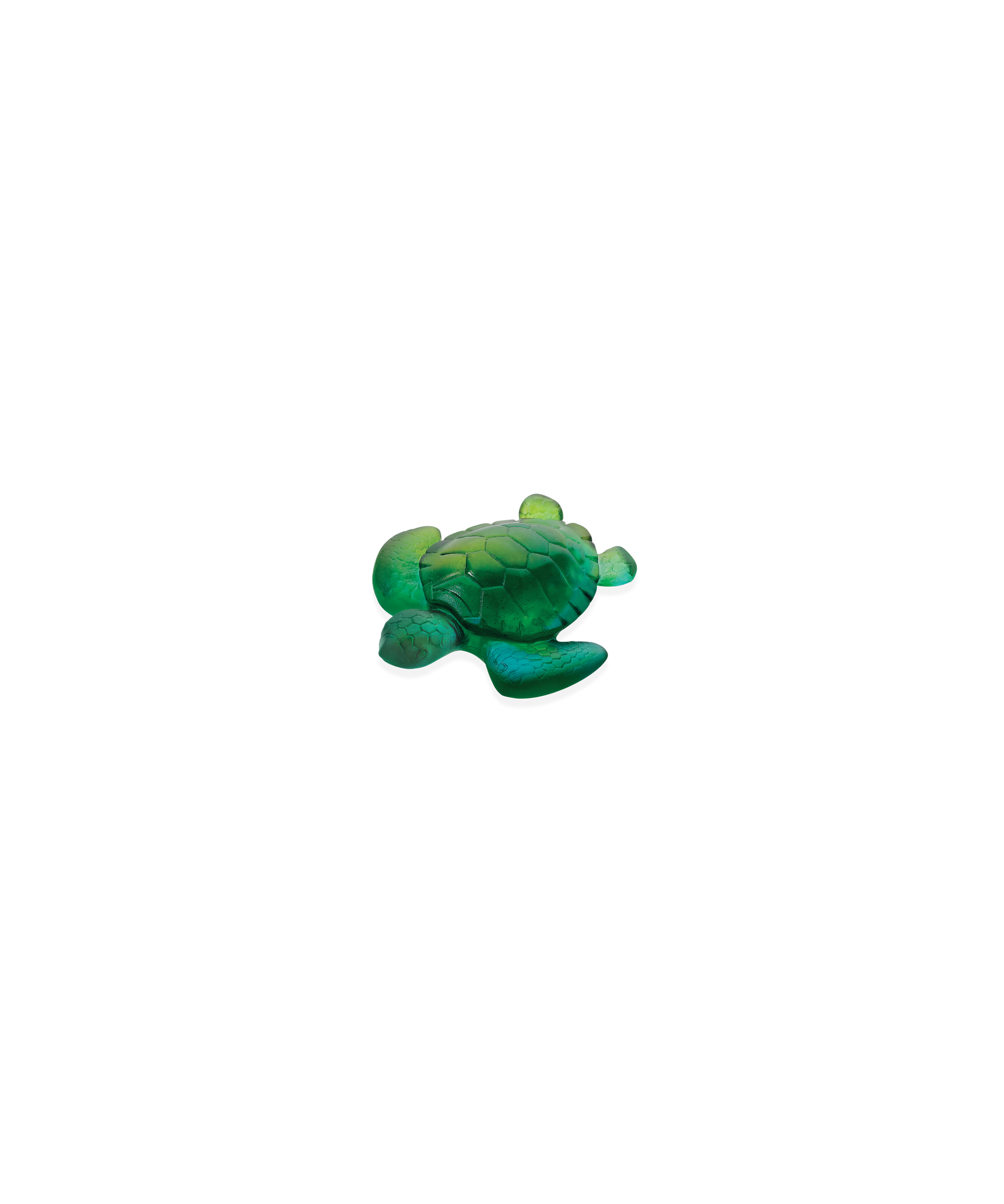 Petite tortue en turquoise de la marque Daum, sculpture en verre avec détails artistiques, vue de face.
