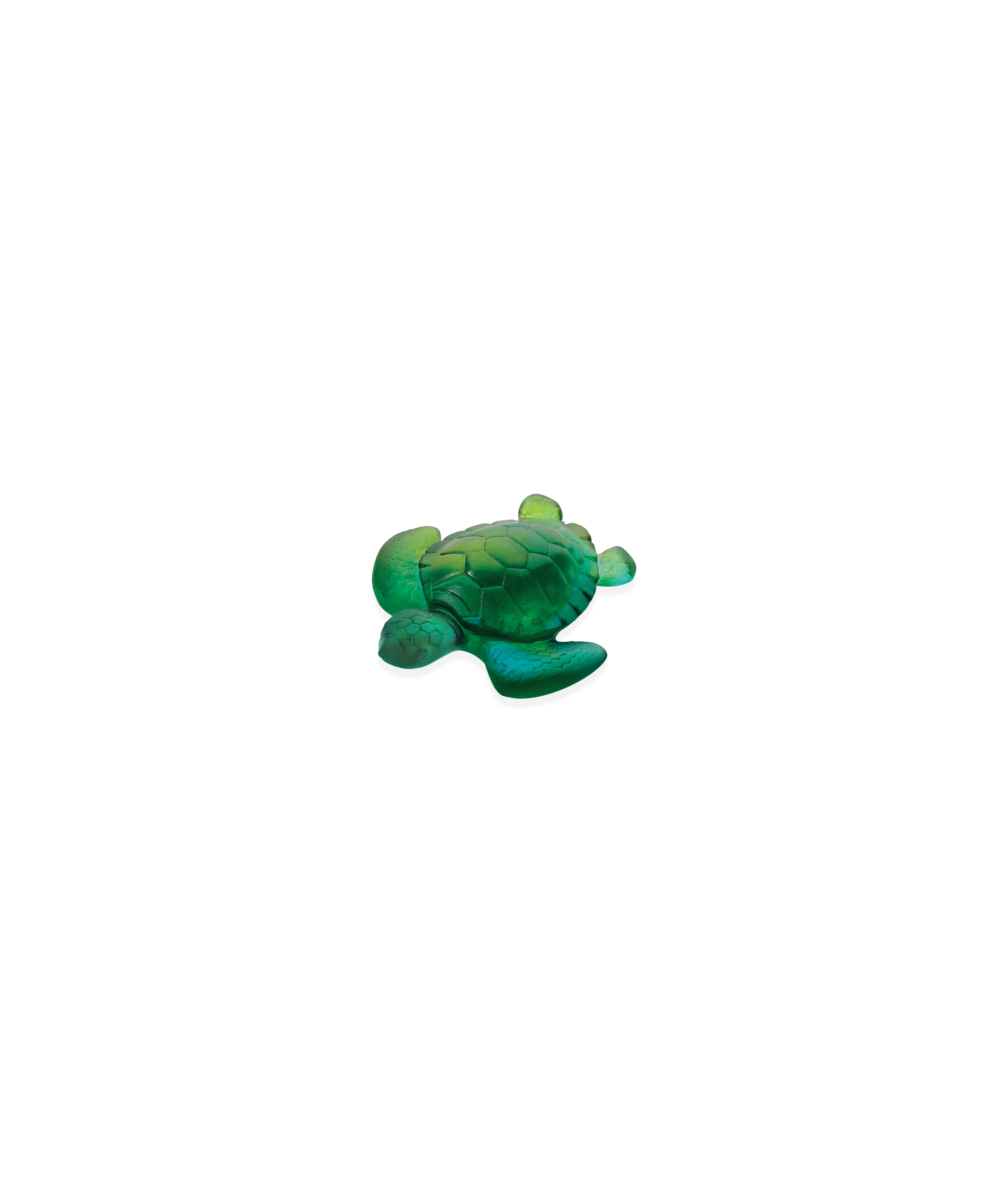 Mini turtle Turquoise