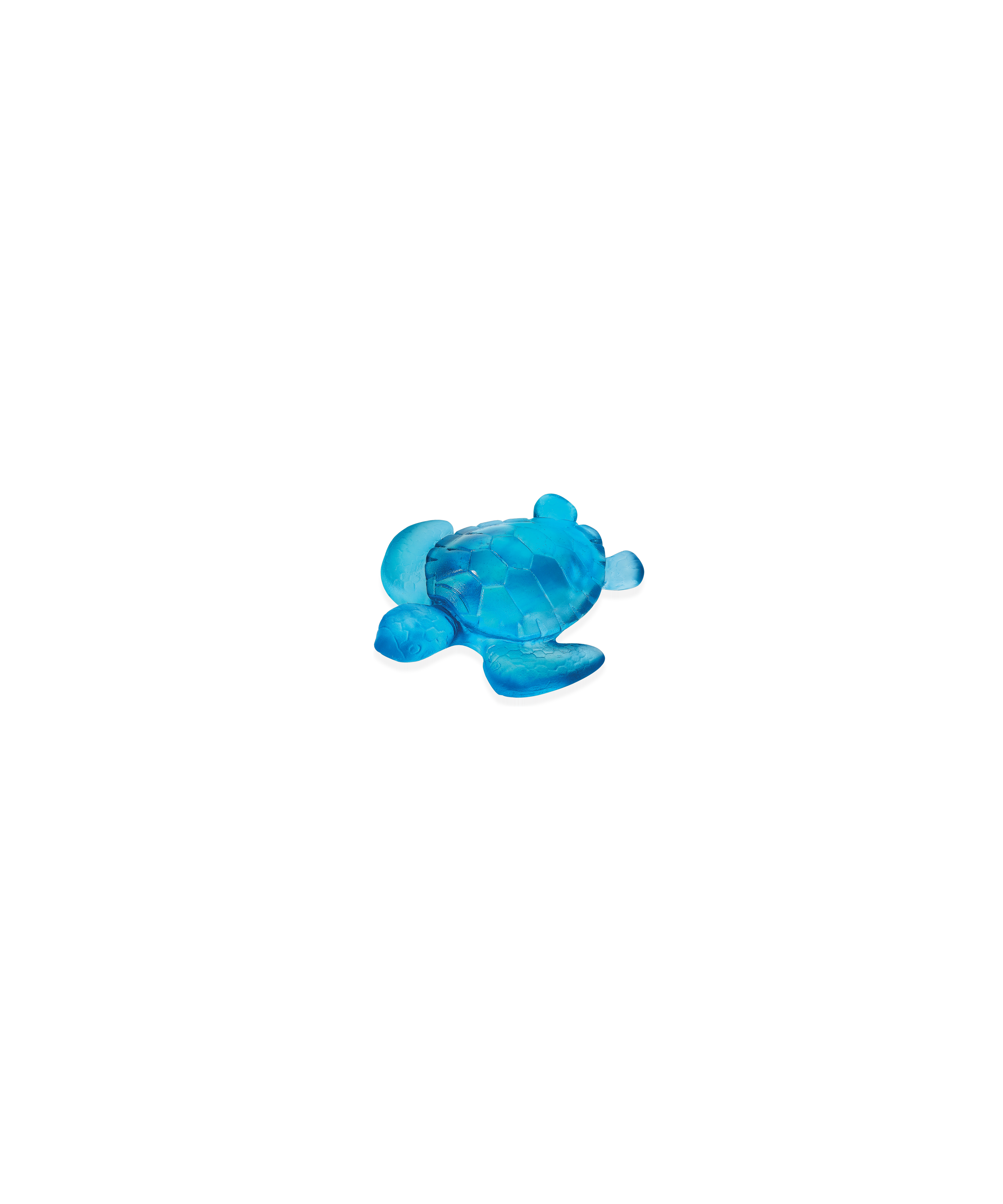 Mini turtle Blue