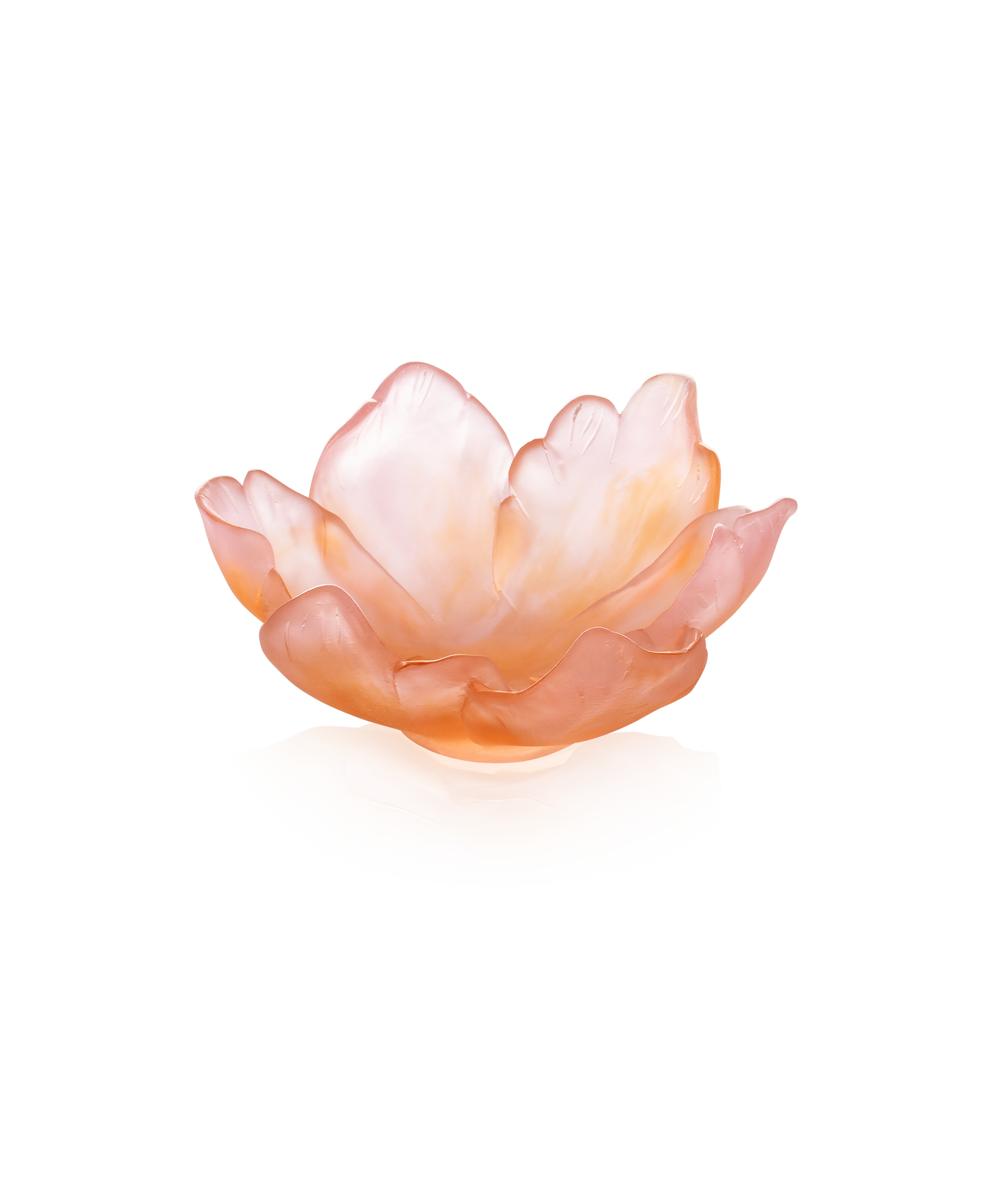 Tulipe en verre Daum, coupelle ambre rose, décoration élégante avec 125 fleurs, design artistique et finitions raffinées.