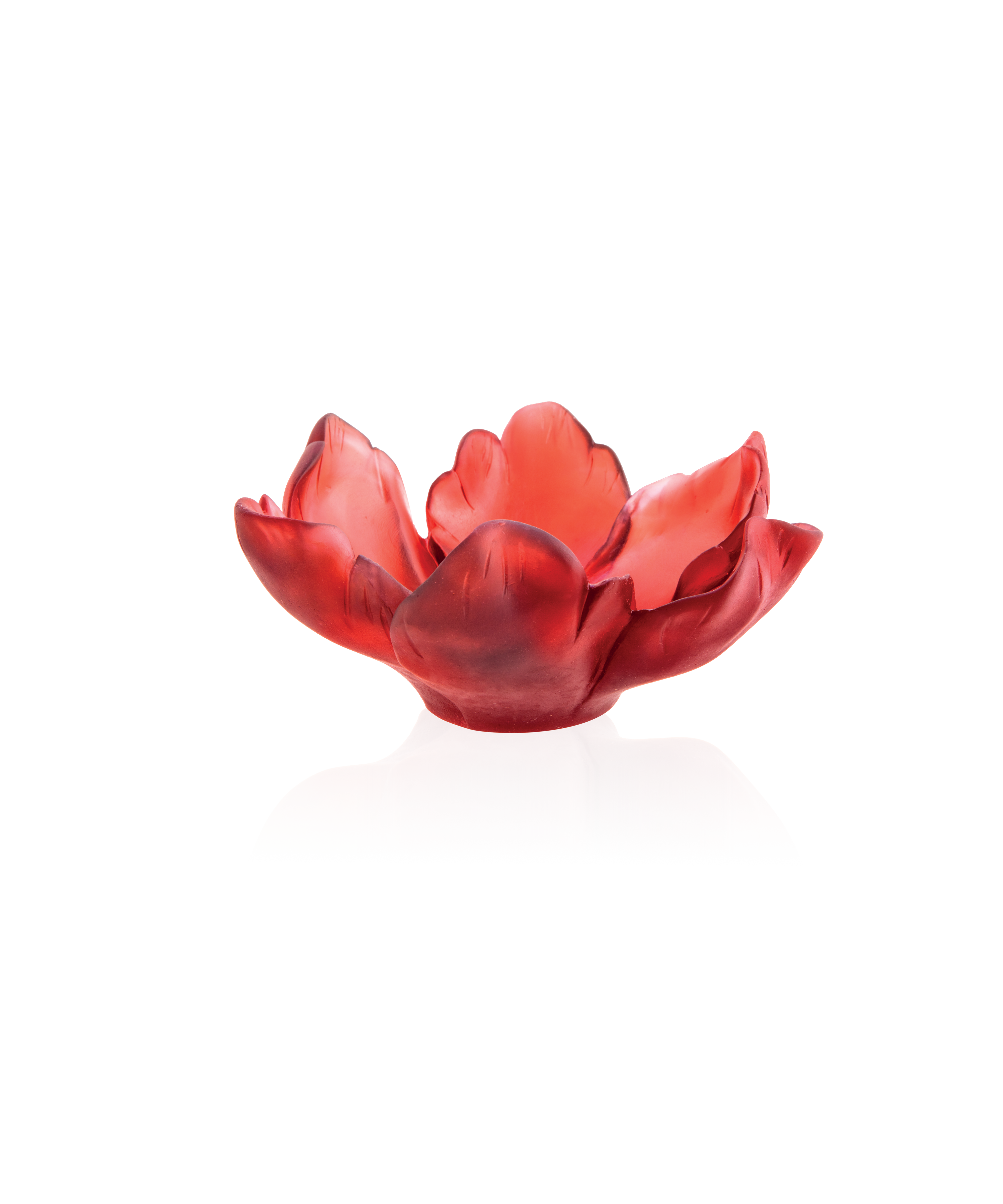 Tulipe Coupelle Rouge