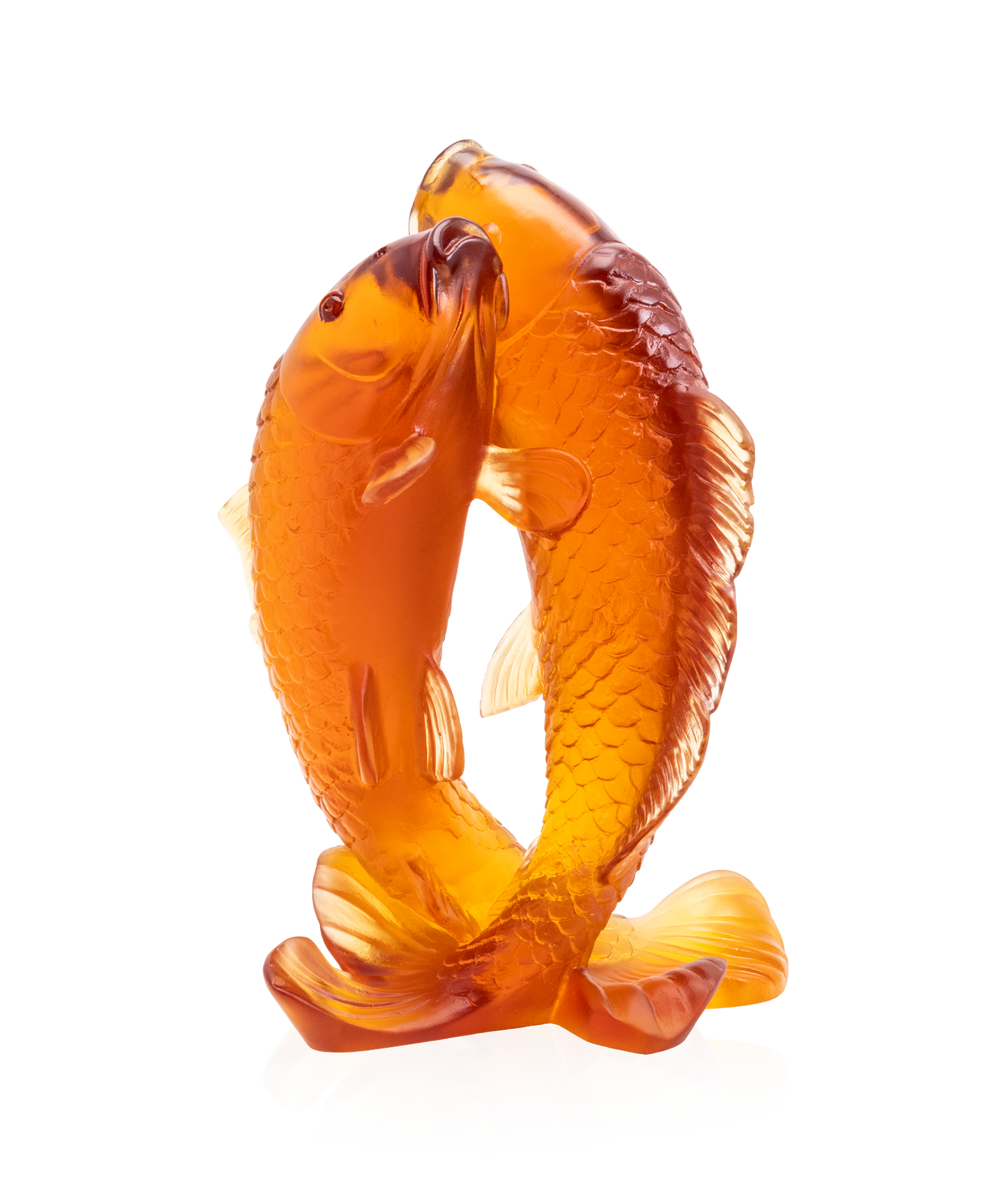 Couple de carpes 800ex