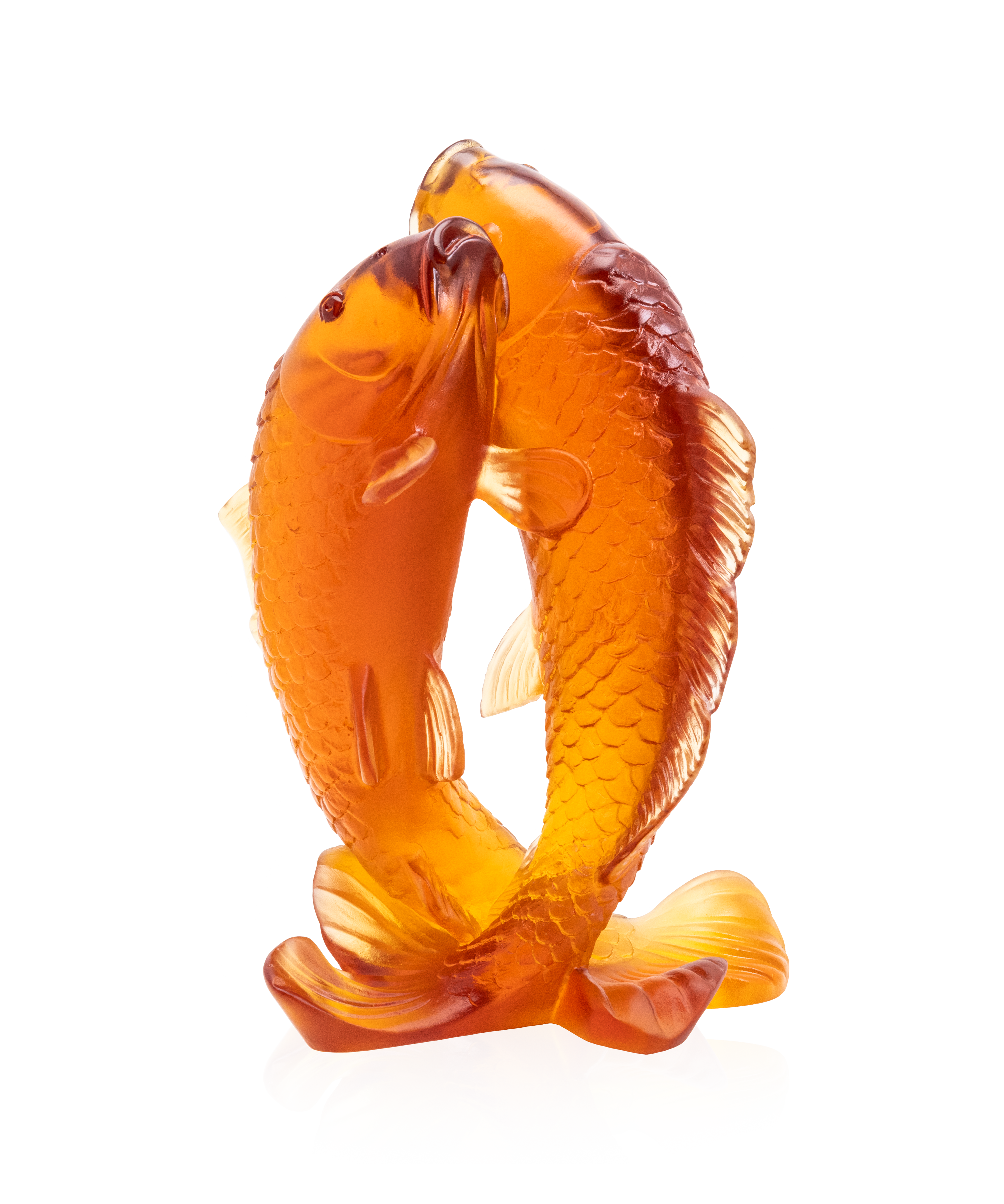 Couple de carpes 800ex