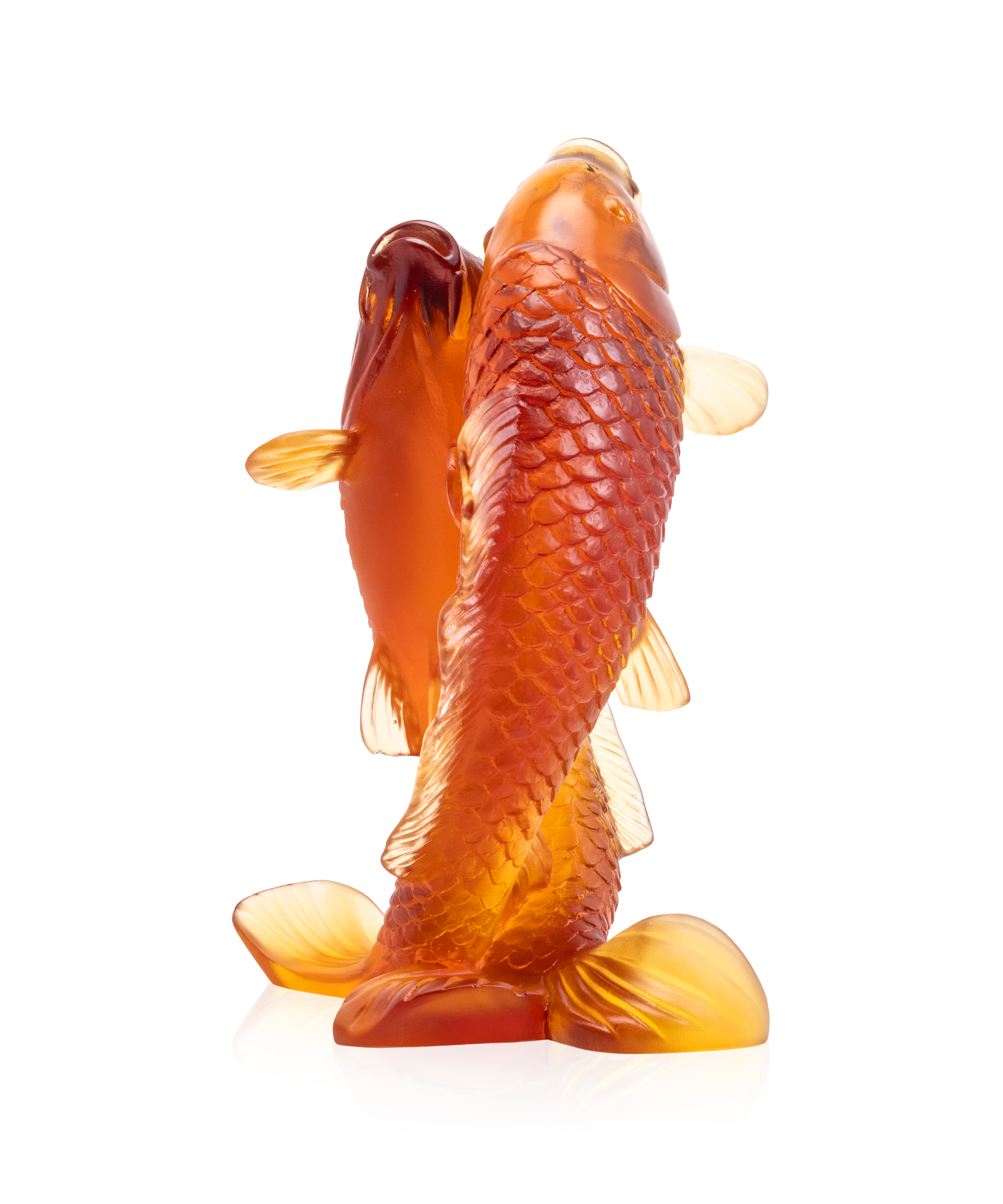 Couple de carpes 800ex