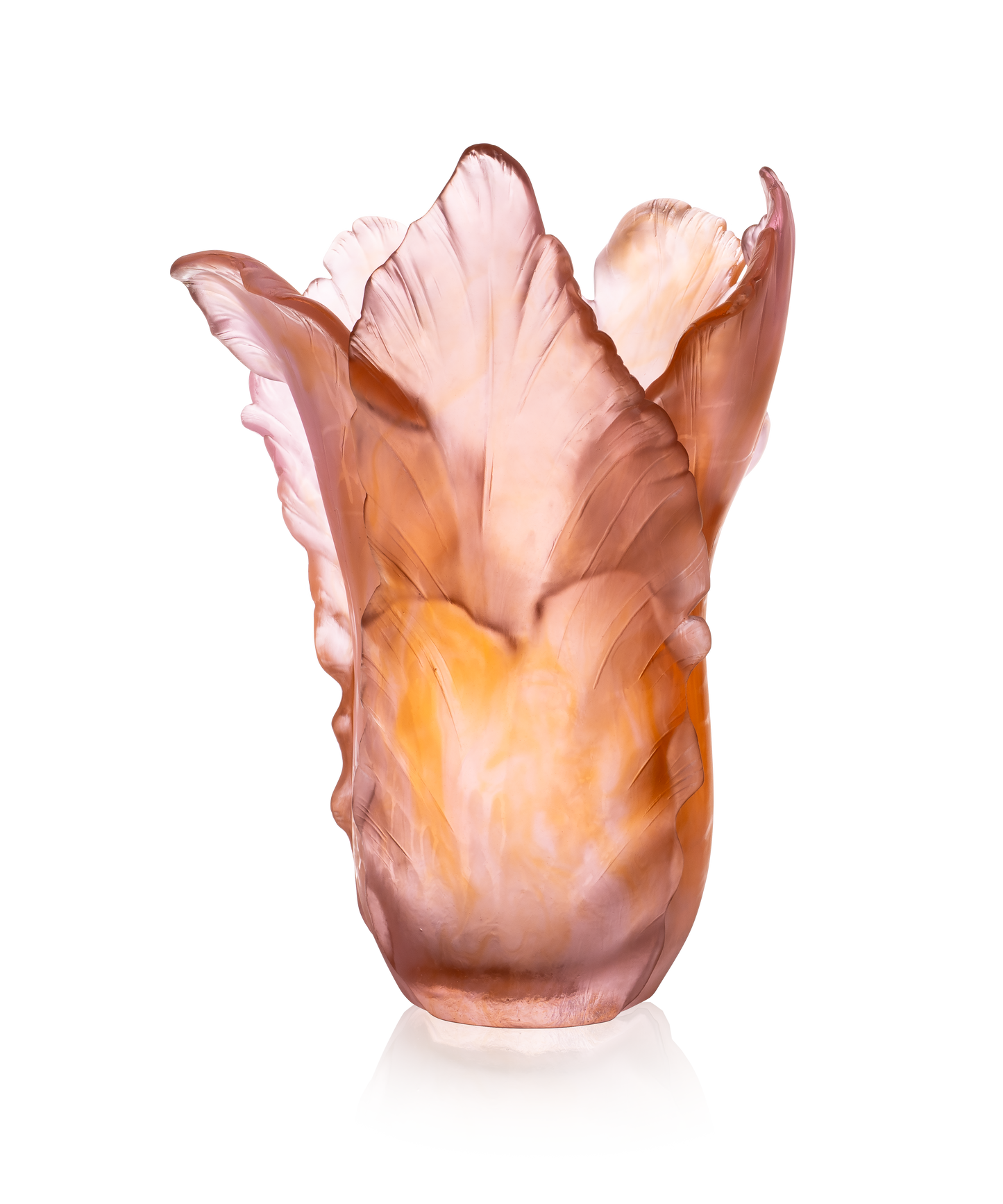 Vase Tulipe Magnum en verre ambre rose de la marque Daum, collection de 50 pièces, montrant sa forme élégante et sa couleur chaleureuse.