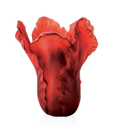 Tulipe Vase magnum Rouge 50ex