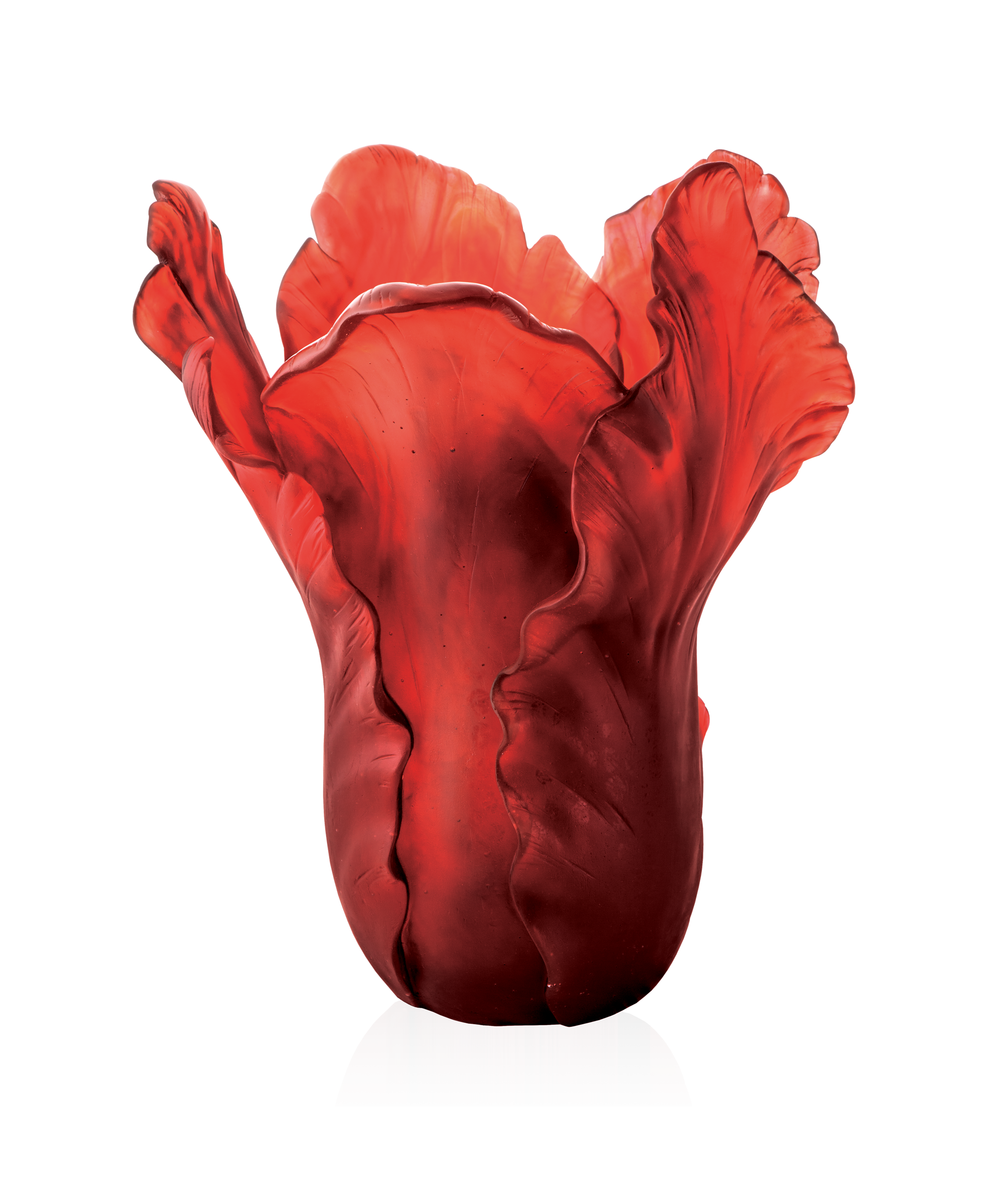 Tulipe Vase magnum Rouge 50ex