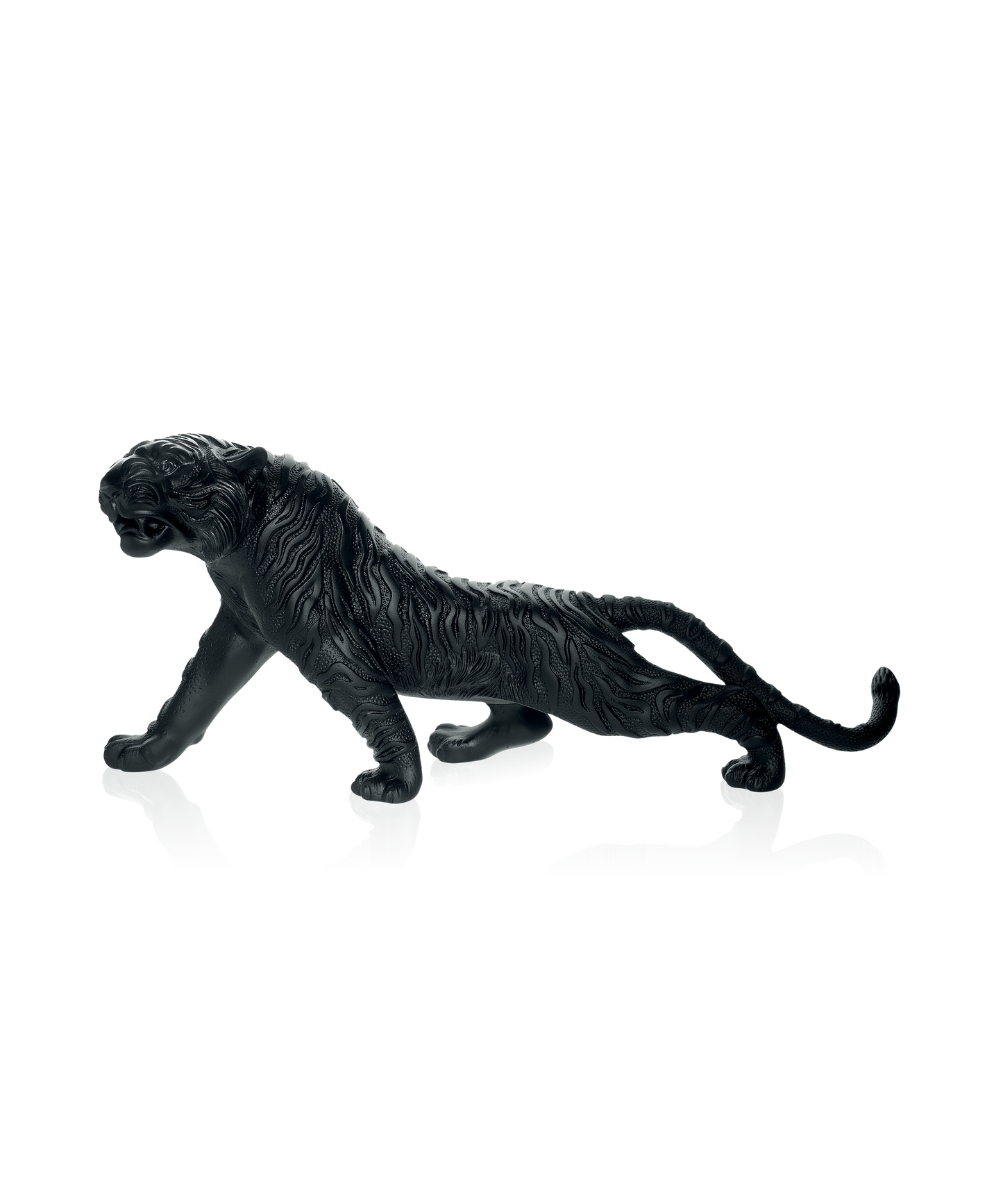 Tigre du Bengale magnum Noir 88ex