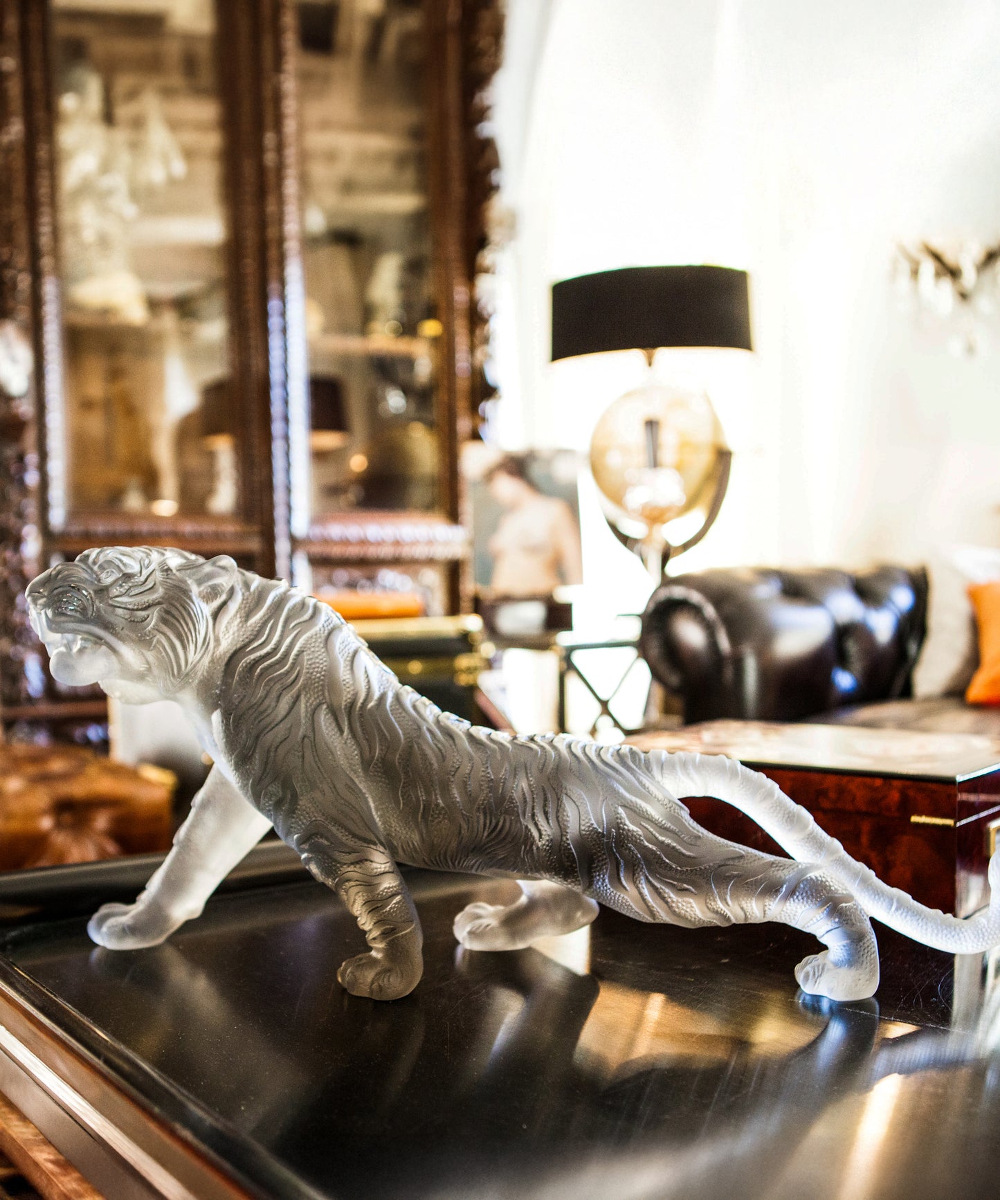 Tigre du Bengale magnum Gris 88ex