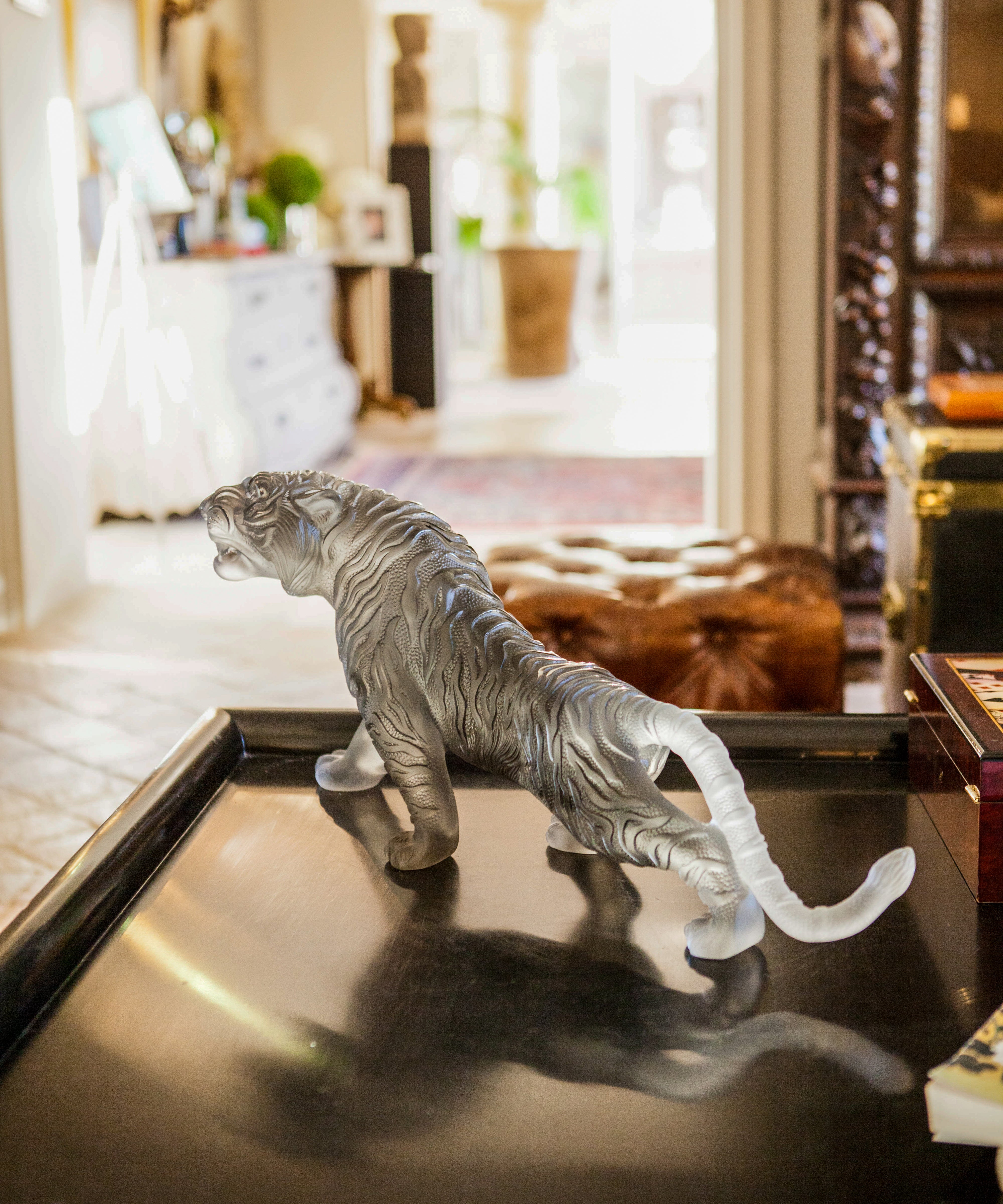 Tigre du Bengale magnum Gris 88ex