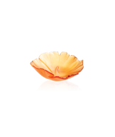 Ginkgo Coupelle Ambre