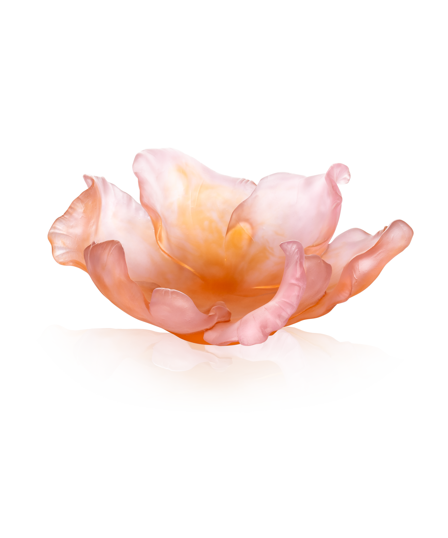 Tulipe en verre couleur ambre rose de la marque Daum, pièce artistique en coupe élégante, visible avec détails de finition.