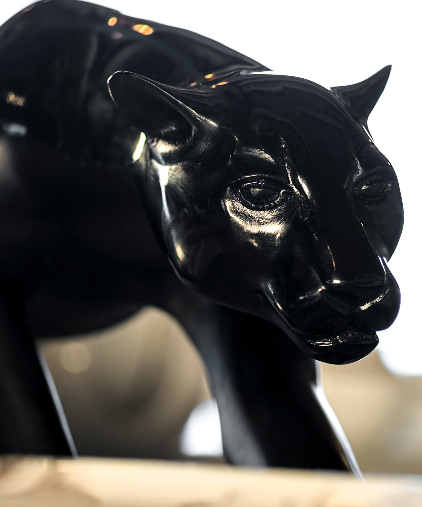 Panthère magnum 1000ex