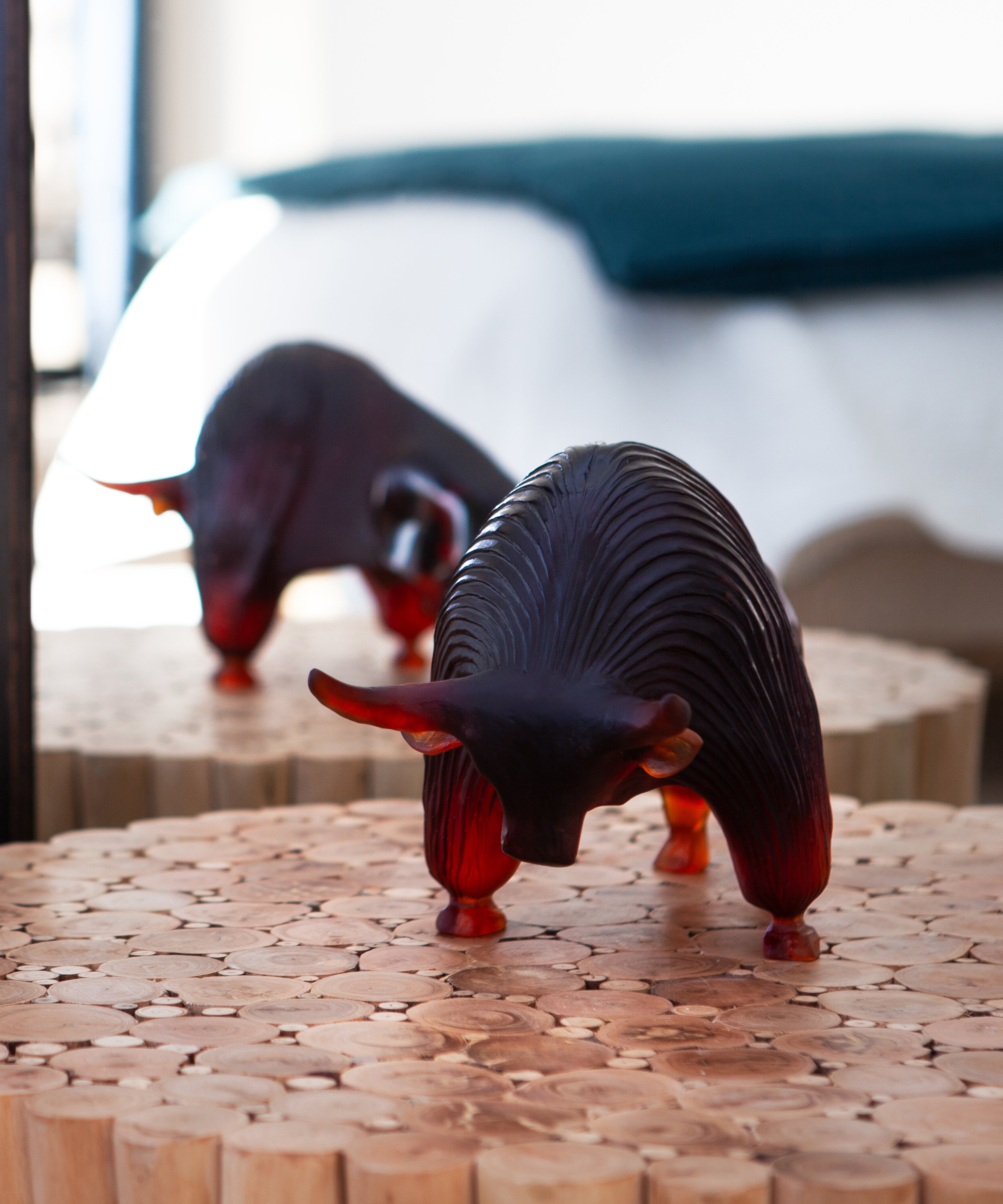 Zebu de Xavier Carnoy 1000ex