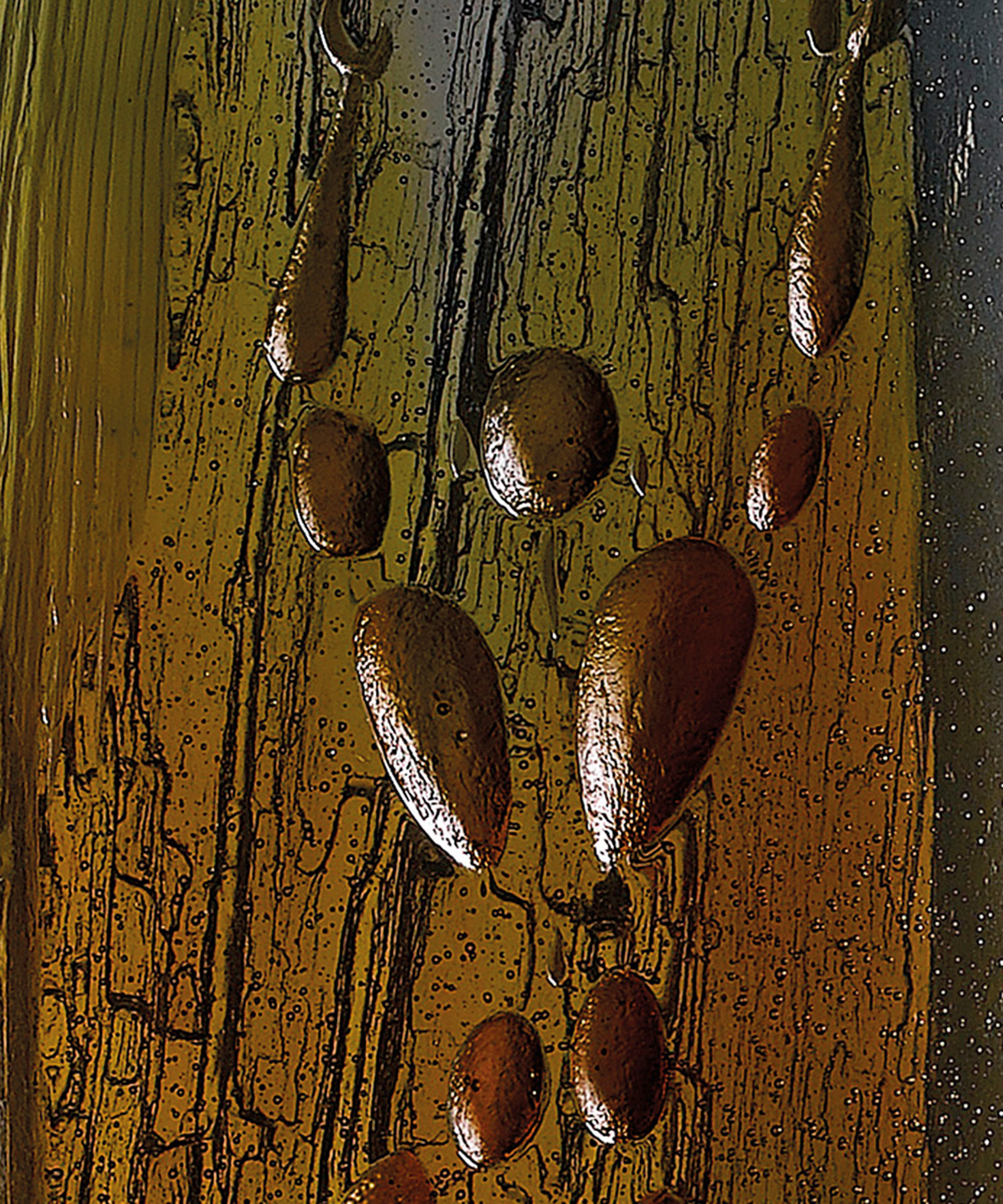 Homme en blanc de Jérôme Mesnager 175ex