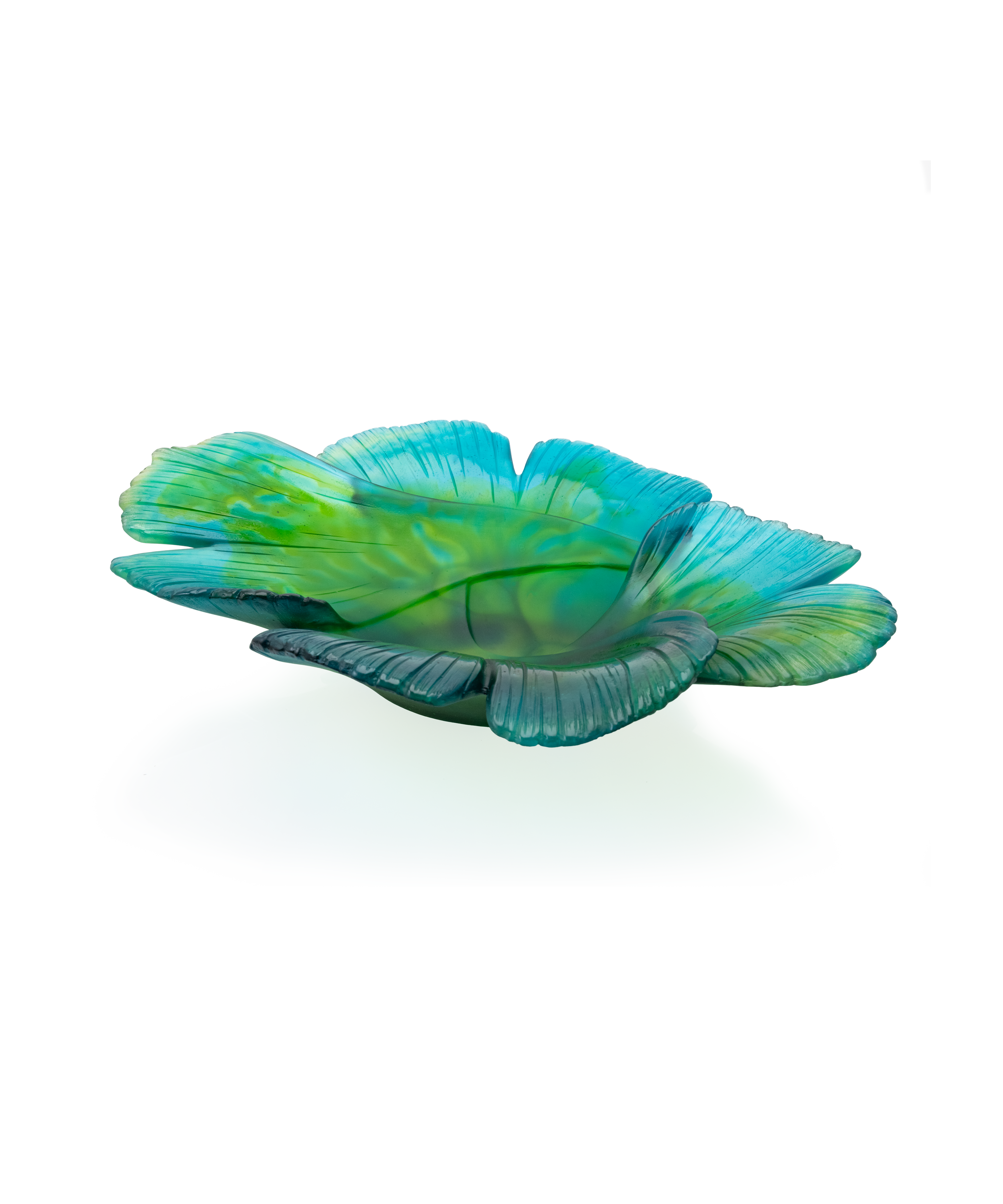 Ginkgo Coupe magnum Verte