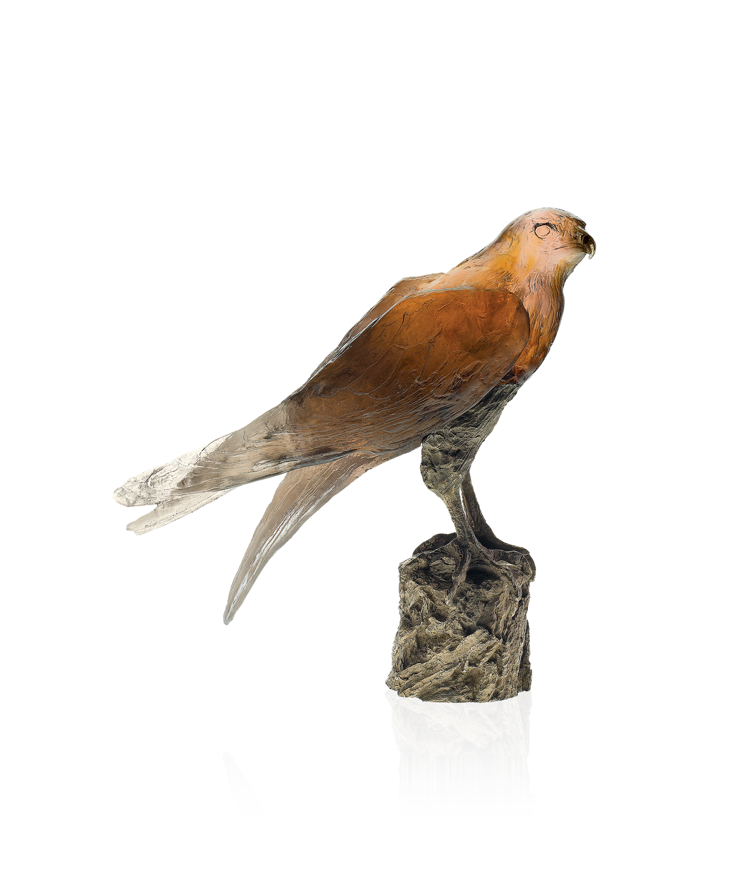 Faucon Saker de Madeleine Van der Knoop 375ex