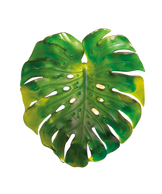 Monstera Feuille murale grand modèle Verte de Emilio Robba